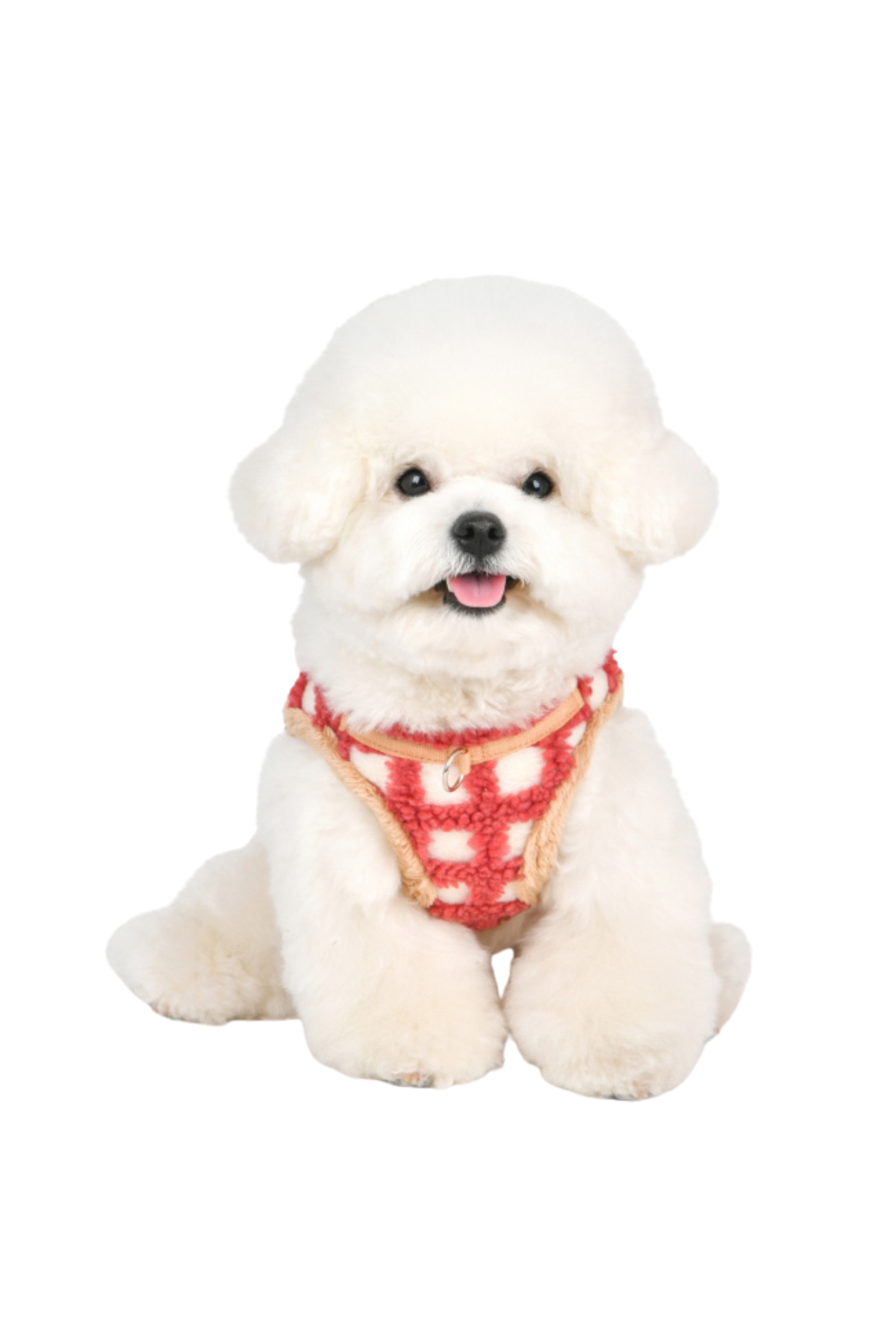 Puppia Stefan  Köpek Göğüs Tasması - Mercan
