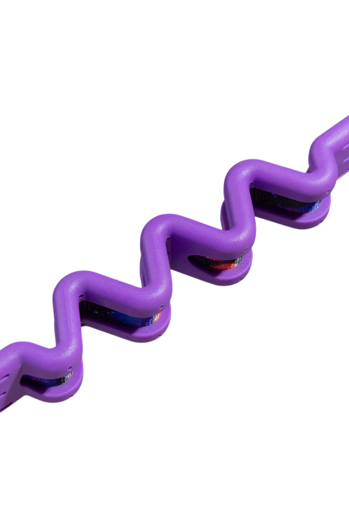 Zee.Dog Reebok x Zee.Dog Court Ruff Gezdirme Tasması