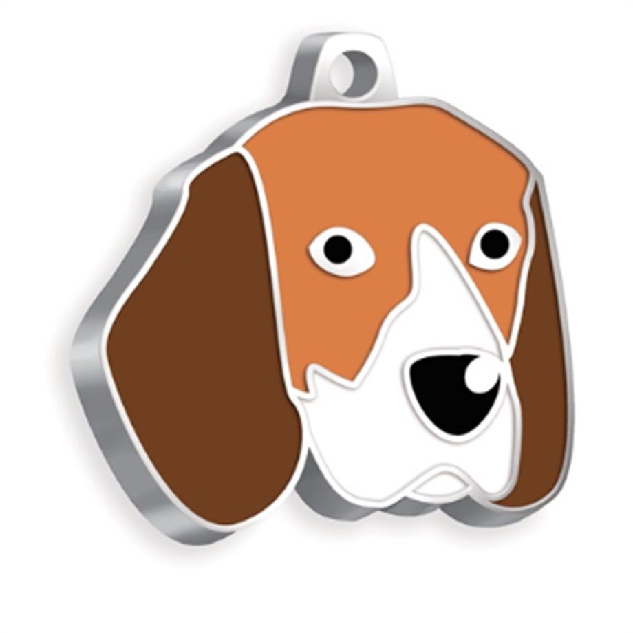Beagle Köpek Künyesi