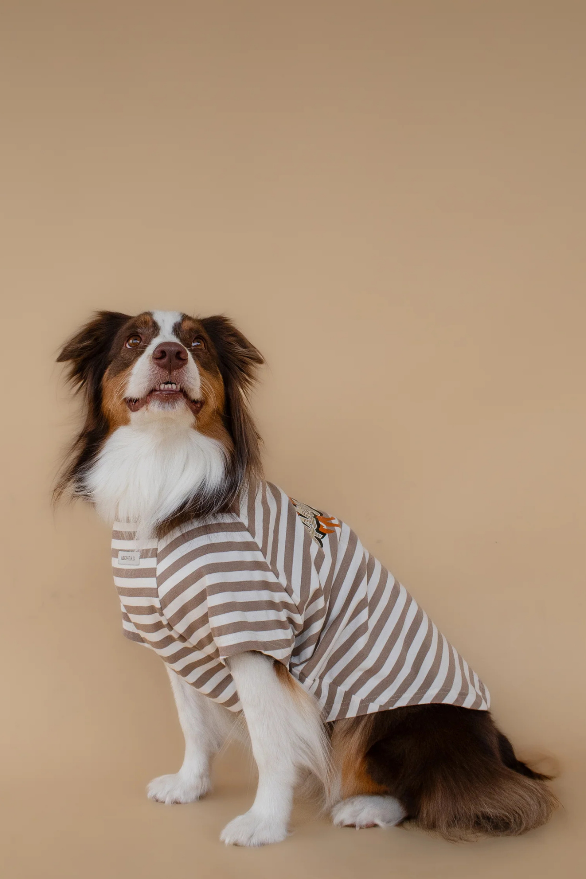 Asky&Erd Heritage Stripe Tshirt Oat Latte