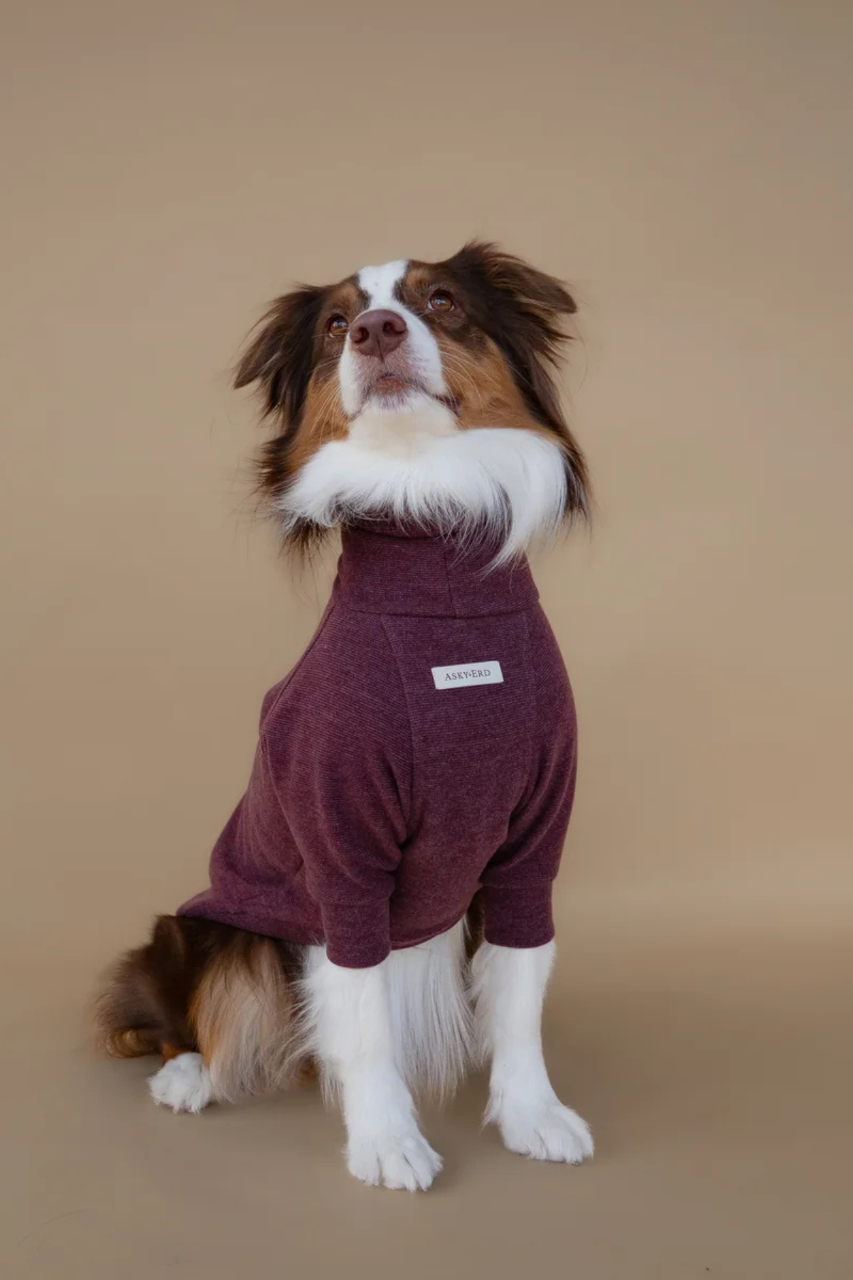 Asky&Erd Turtleneck | Mulberry Wine