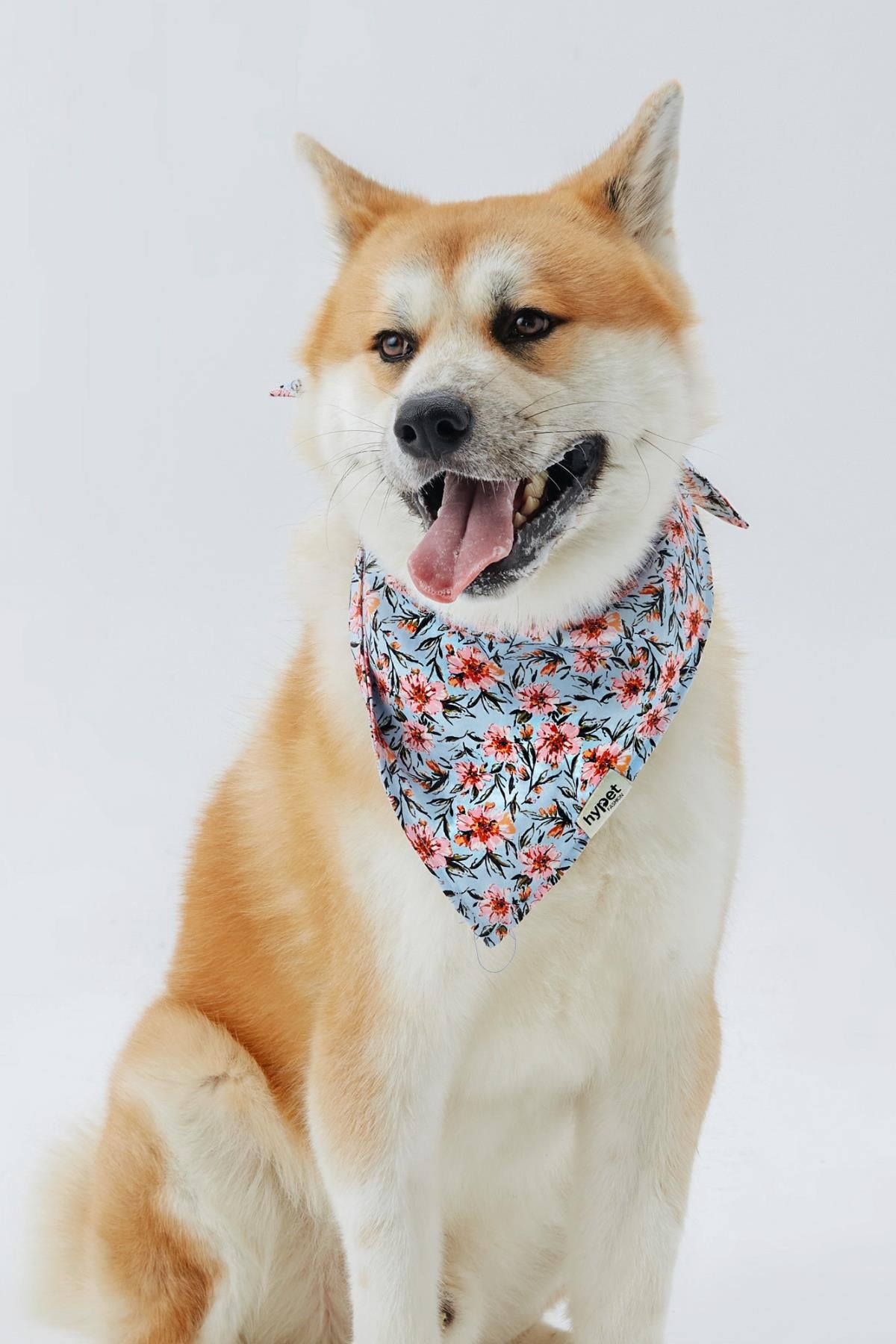 Hypet Fashion Blue Floral Bandana