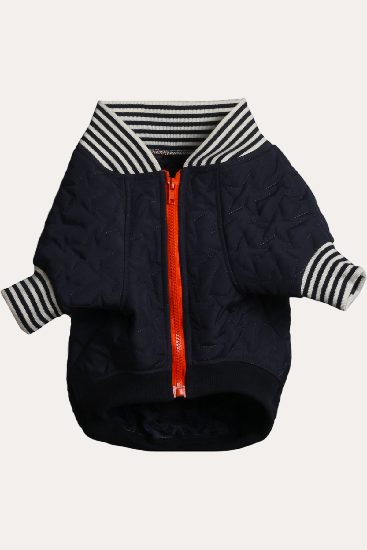 Bomber Jacket | Star