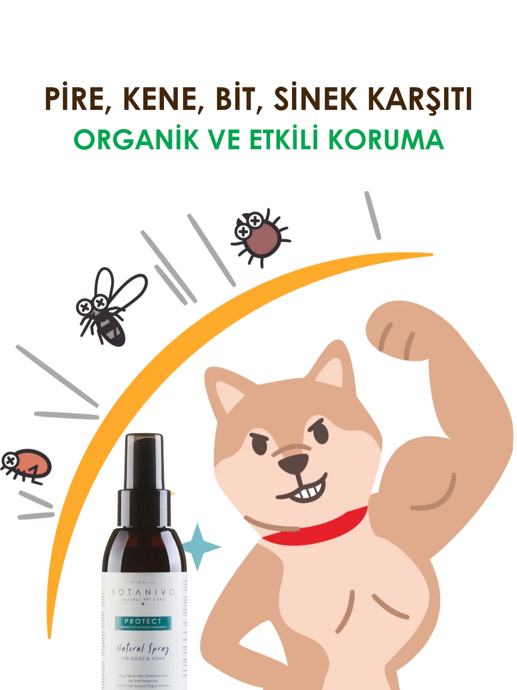 Botanivo Köpek Pire ve Kene Spreyi (Köpekler ve Evler İçin)