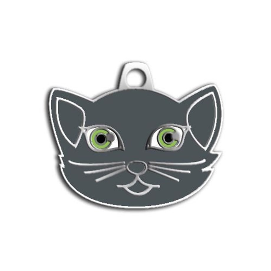 British Shorthair Kedi Künyesi