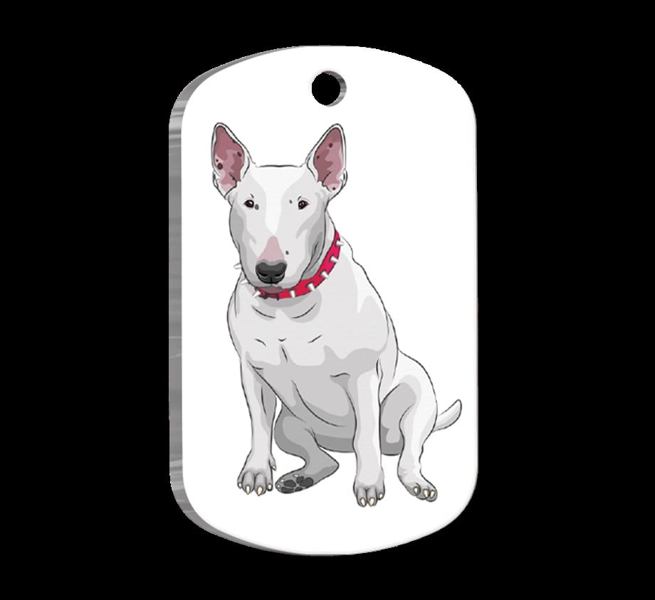 Bull Terrier Resimli Köpek Künyesi