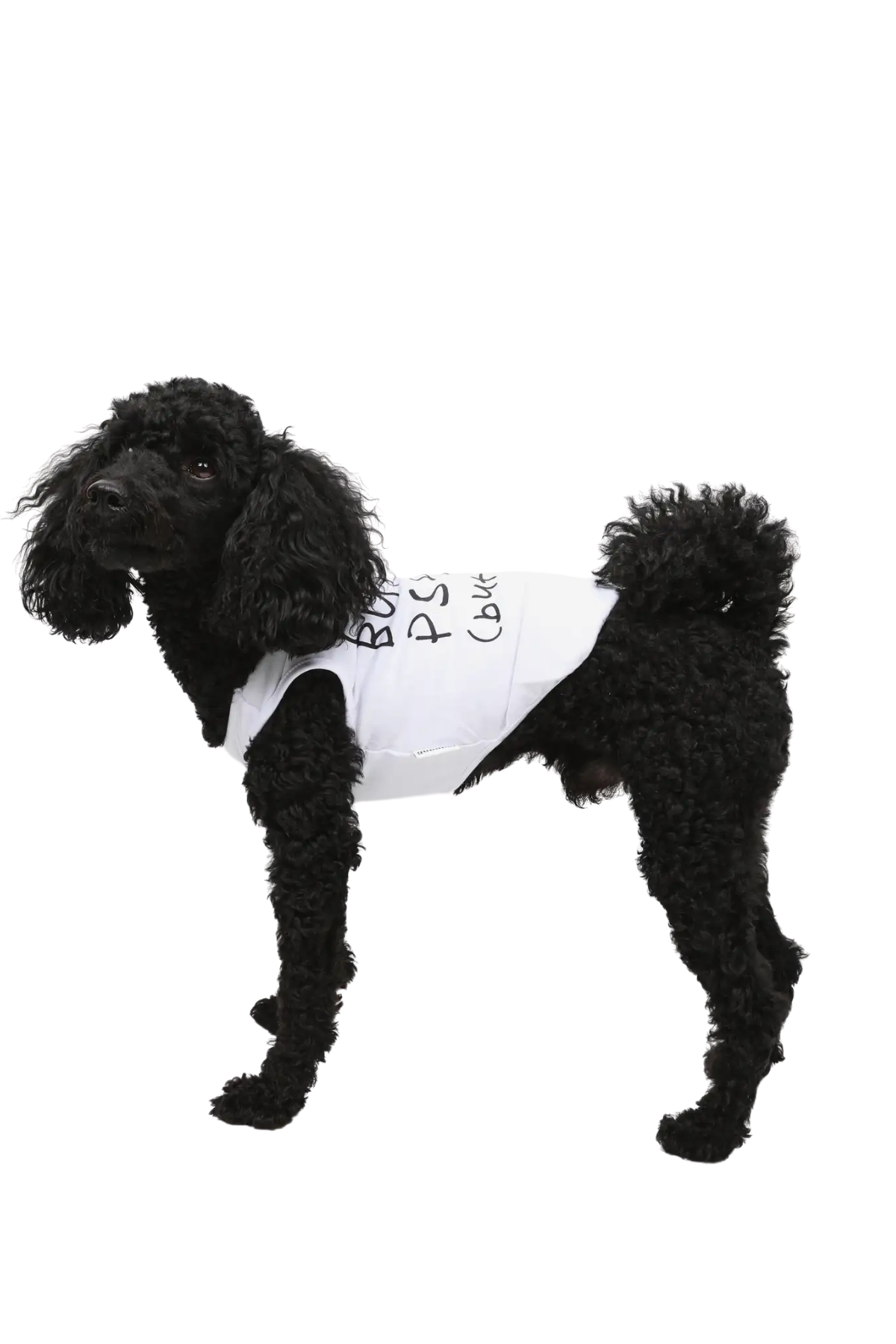 Goodboi Cute But Psycho But Cute Atlet
