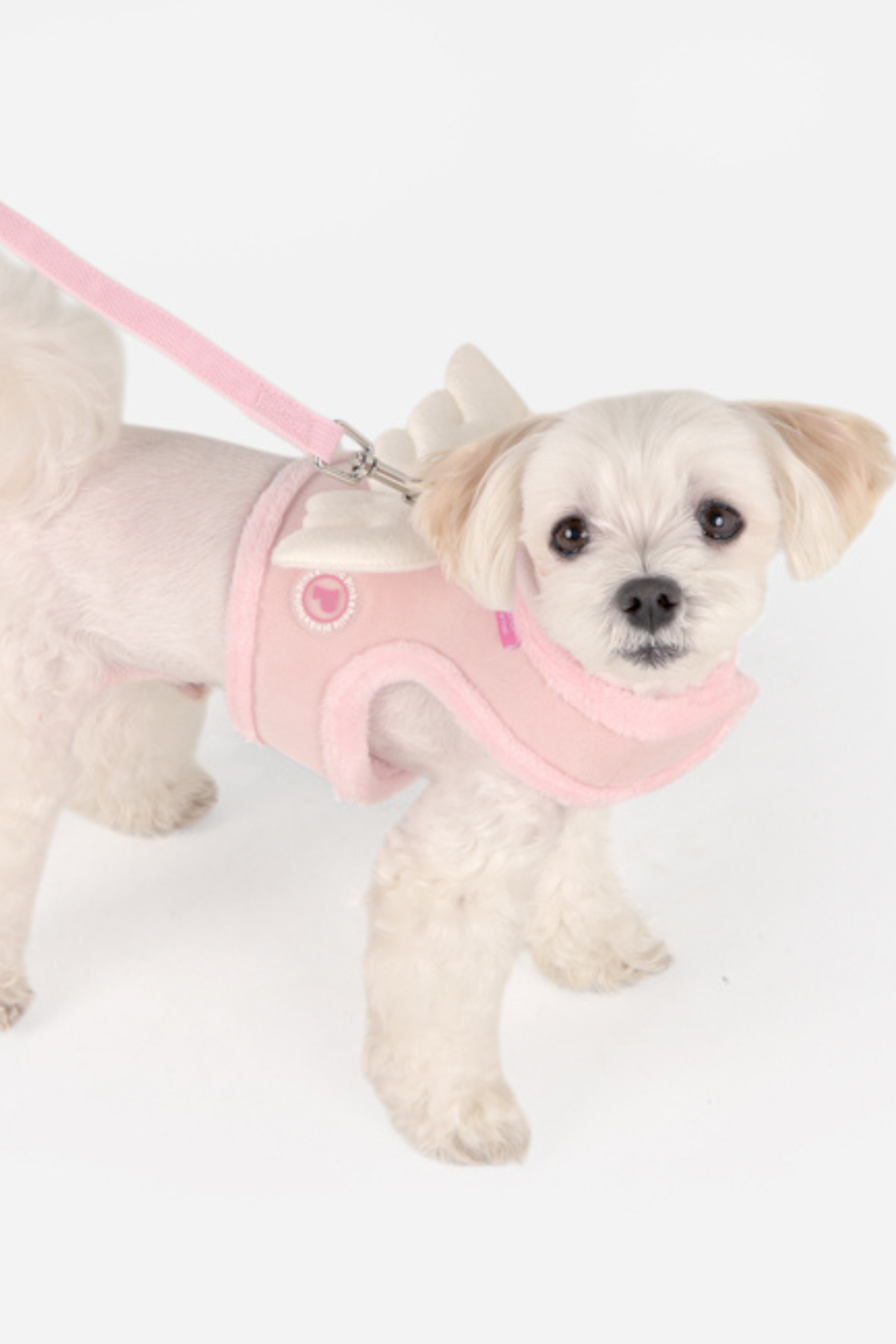 Pinkaholic Peliah Pinka Harness Köpek Göğüs Tasması Pembe