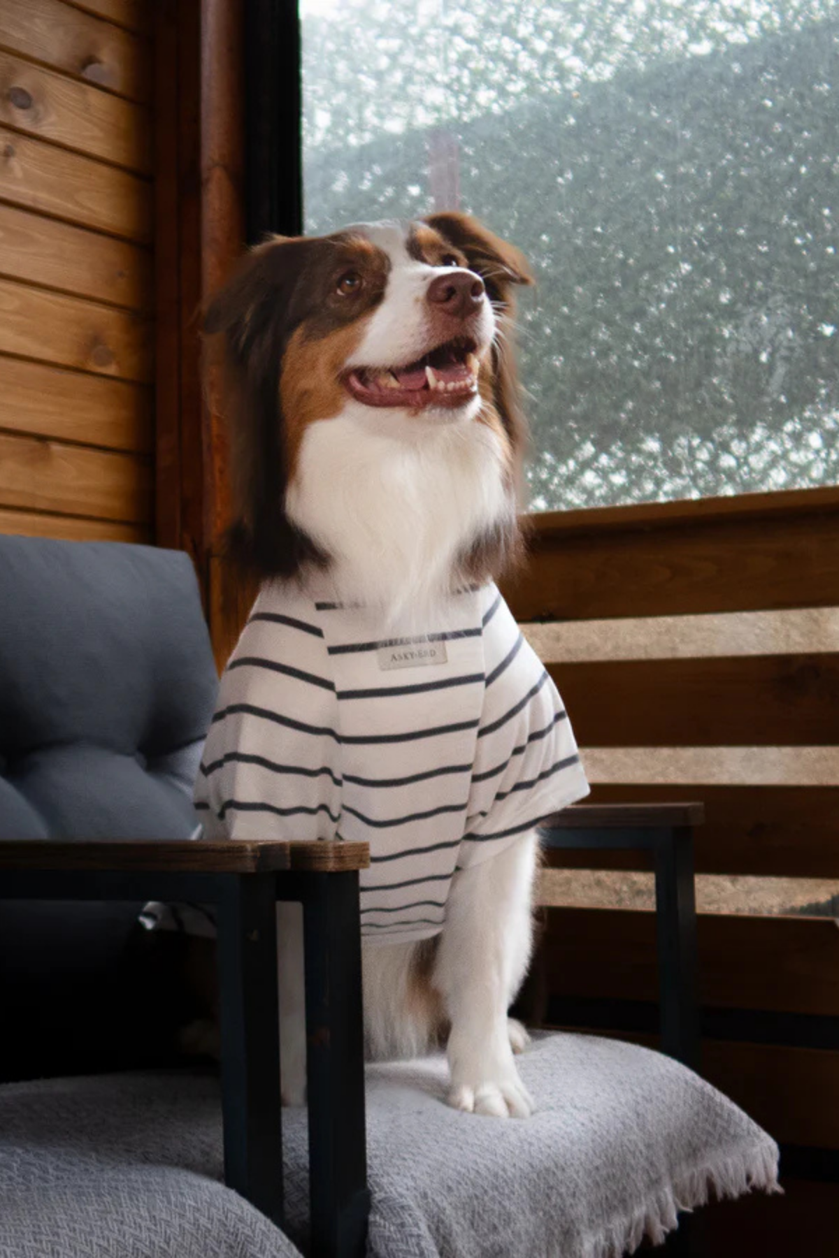 Asky&Erd Doing My Best Club Stripe T-Shirt | Urban Grey