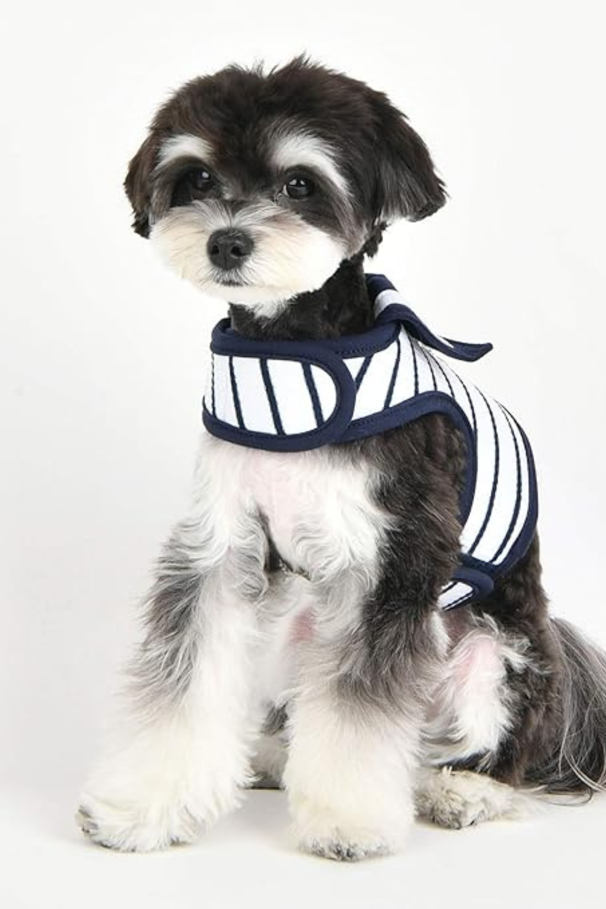 Pinkaholic New York Cordelia Pinka Harness Göğüs Tasması Beyaz