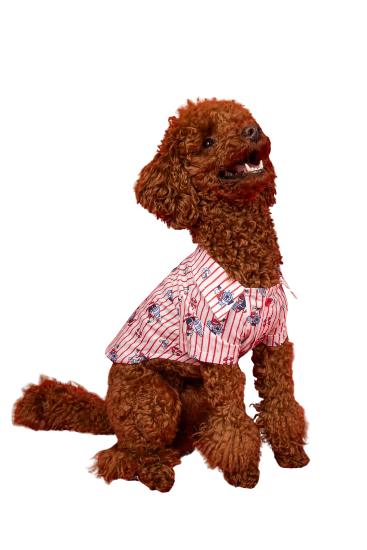 Goodboi Kırmızı Çizgili Poplin Kaptan Gömlek