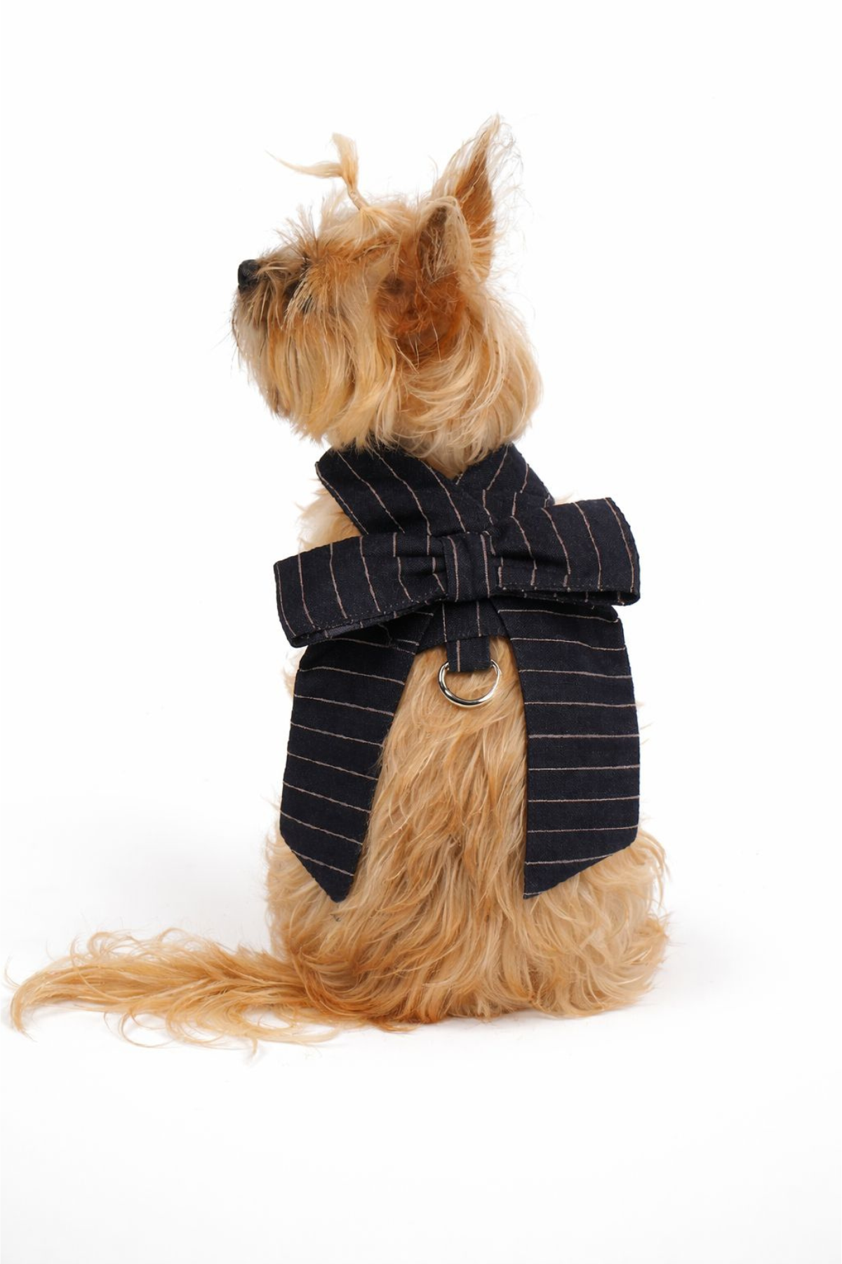 Doredog Fiyonklu Denim Köpek Tasma 