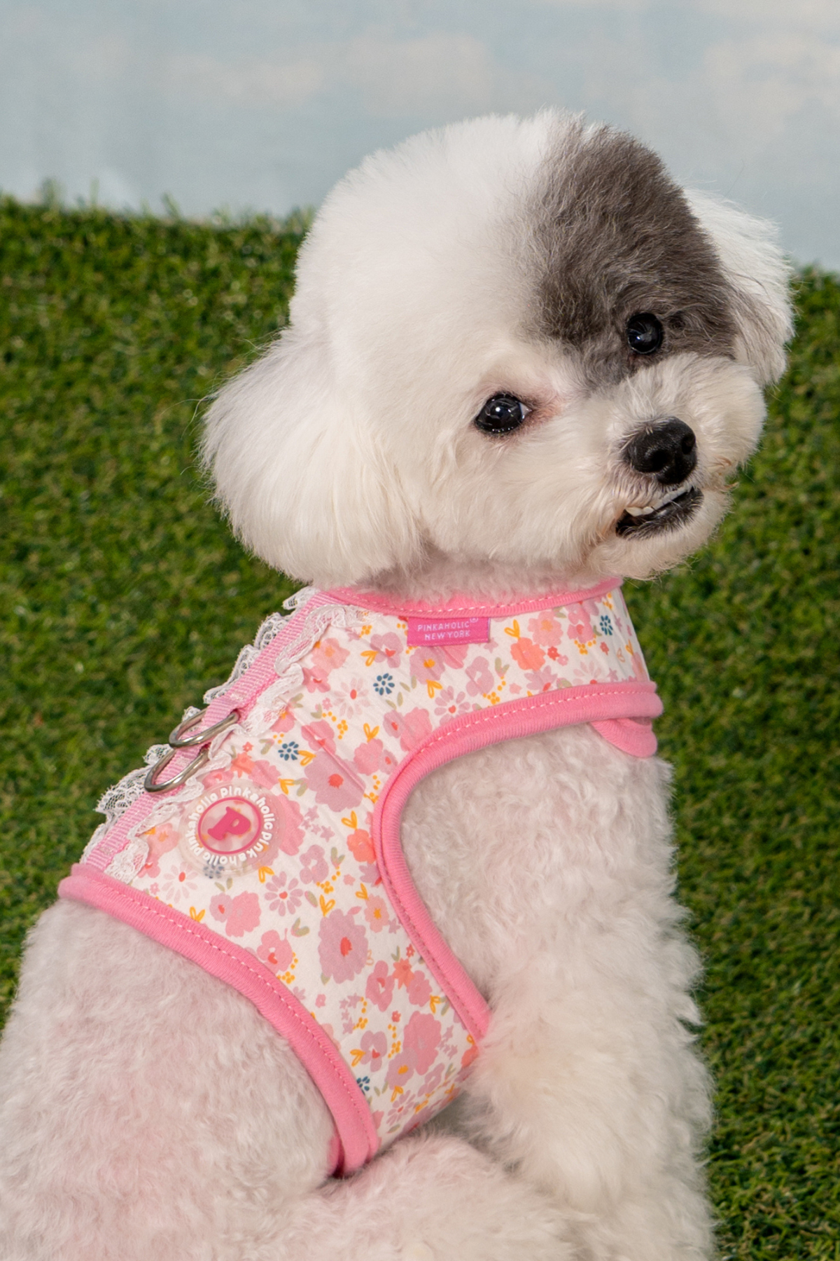 Pinkaholic New York Amabel Harness J Köpek Göğüs Tasması Pembe 
