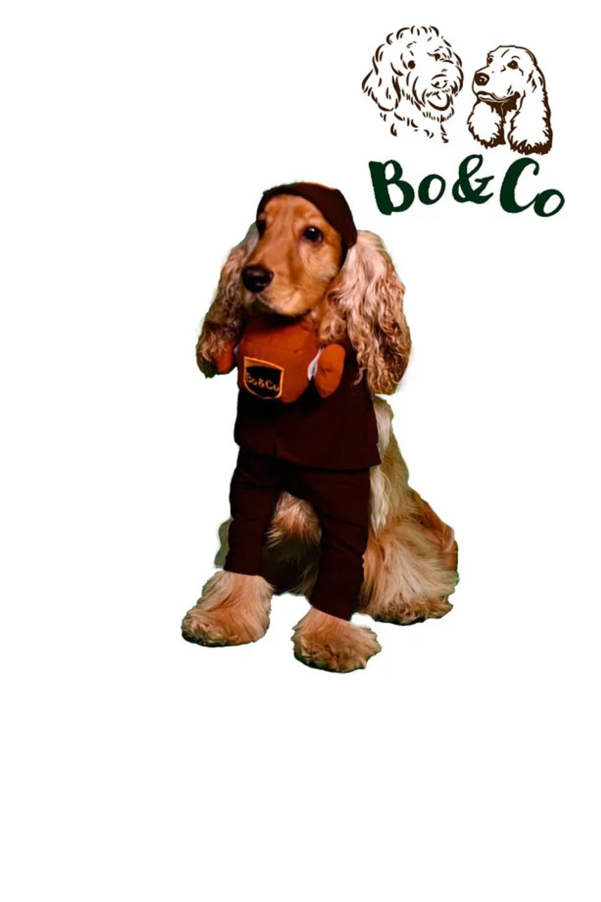 Bo&Co Postacı Kostümü