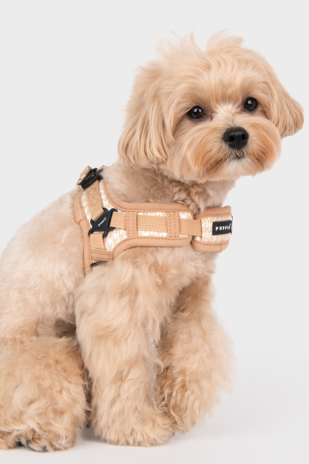 Egon Harness X Köpek Göğüs Tasması Bej 