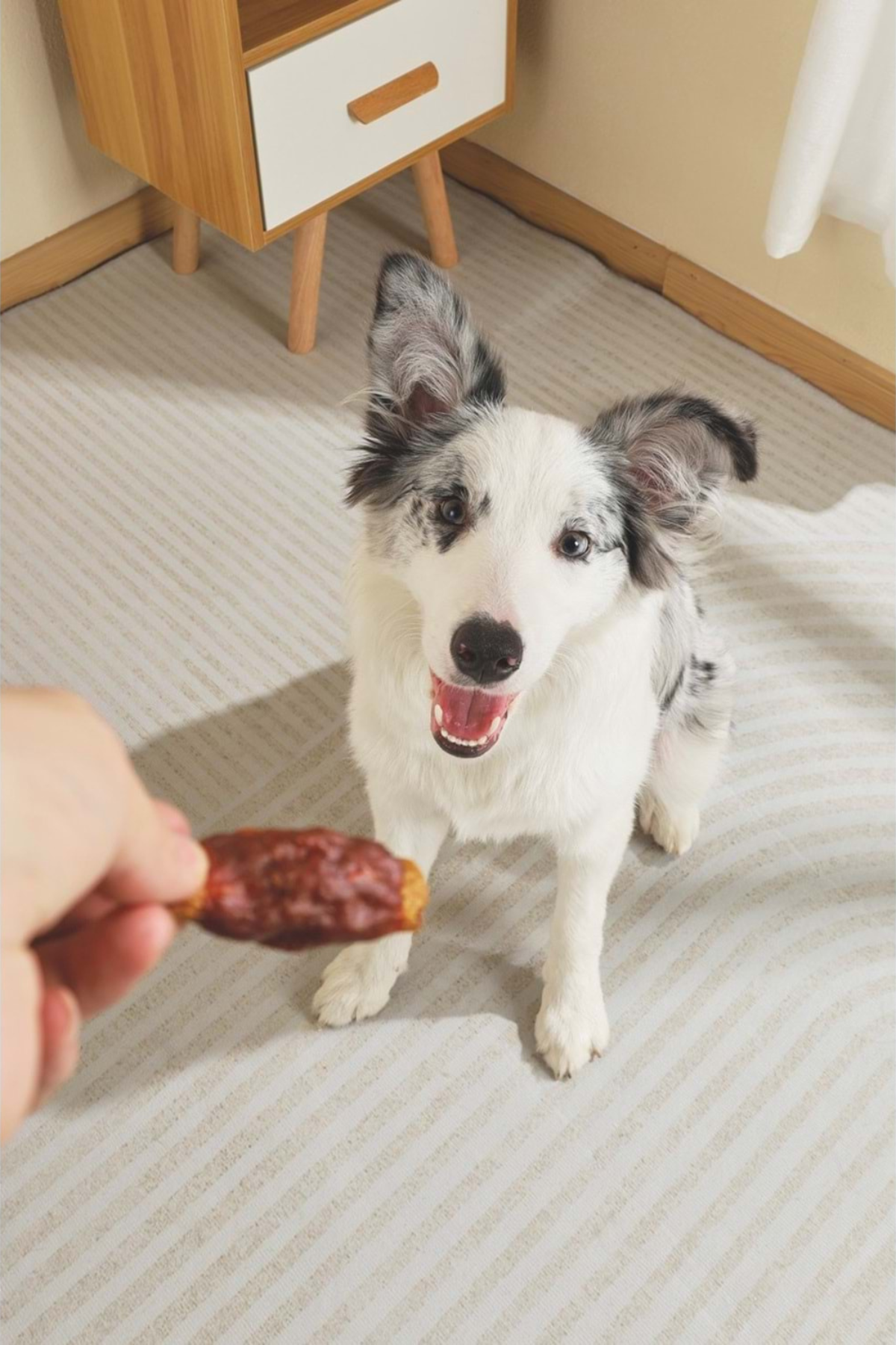 M-PETS BBQ KINGS LEG ROASTS CHICKEN ÖDÜL 70GR