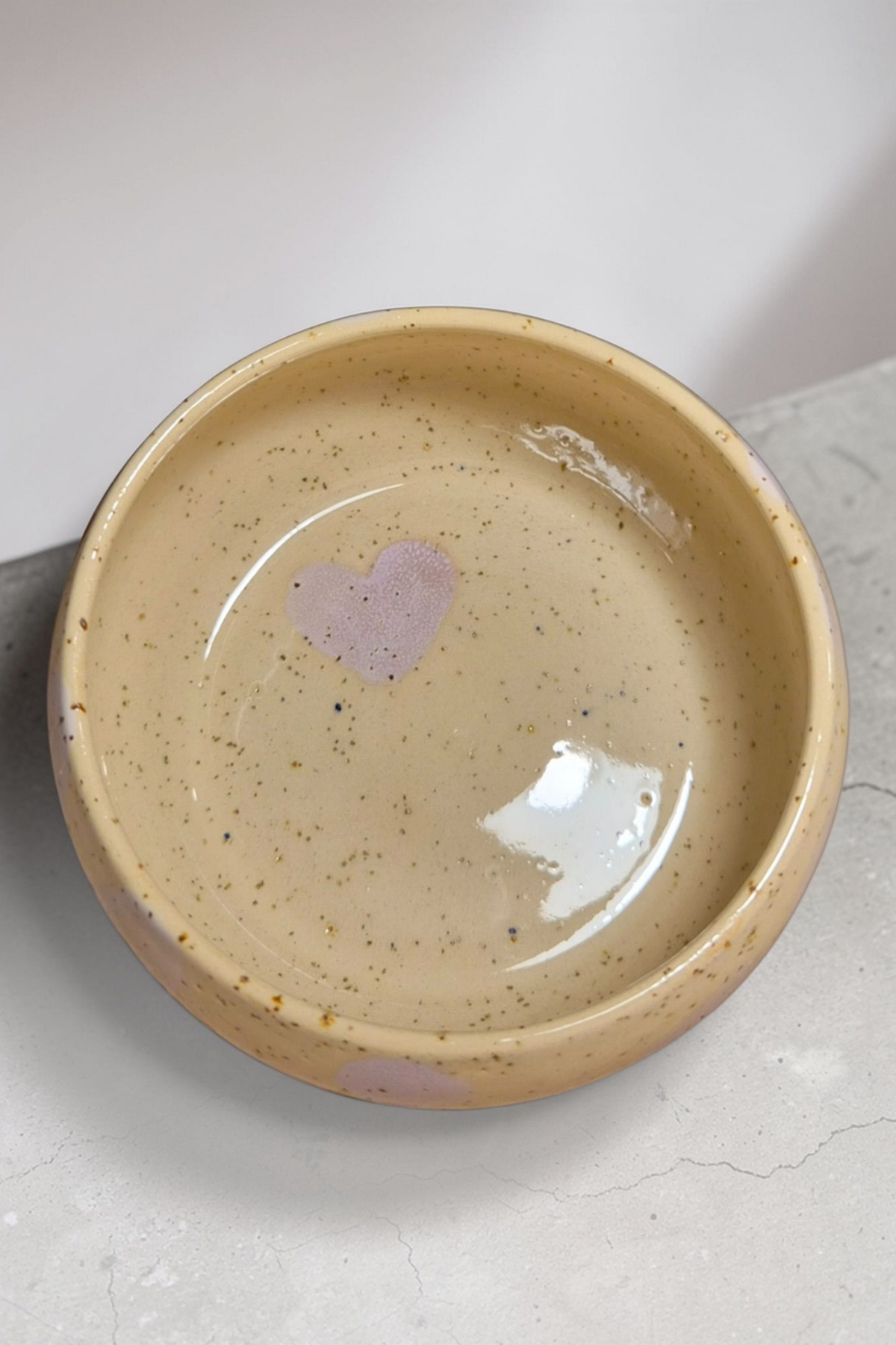 Feza Seramik Köpek Mama Kasesi- Benekli Lila Desen