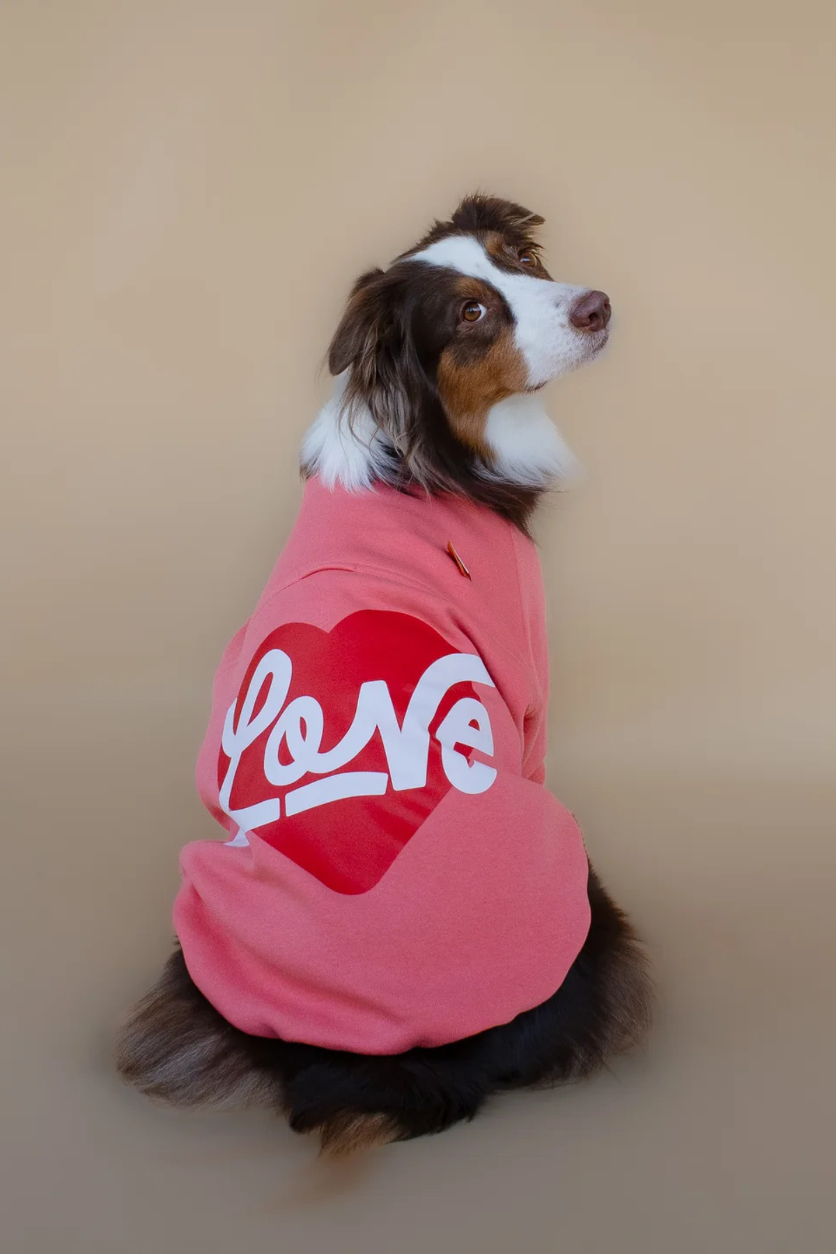 Asky&Erd Love Sweatshirt | Coral Rose