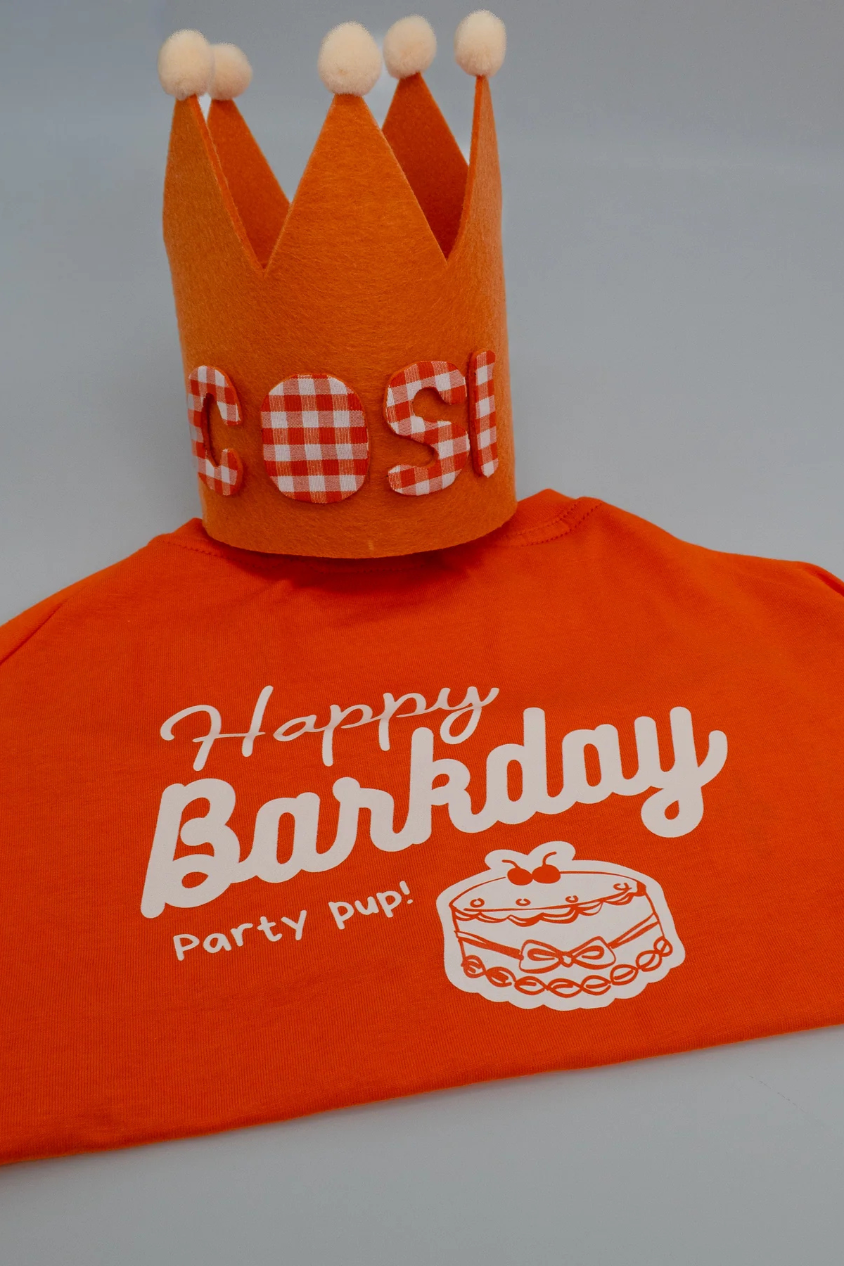 Asky&Erd Barkday Club Crown Hat Köpek Doğum Günü Tacı Kişiselleştirilebilir