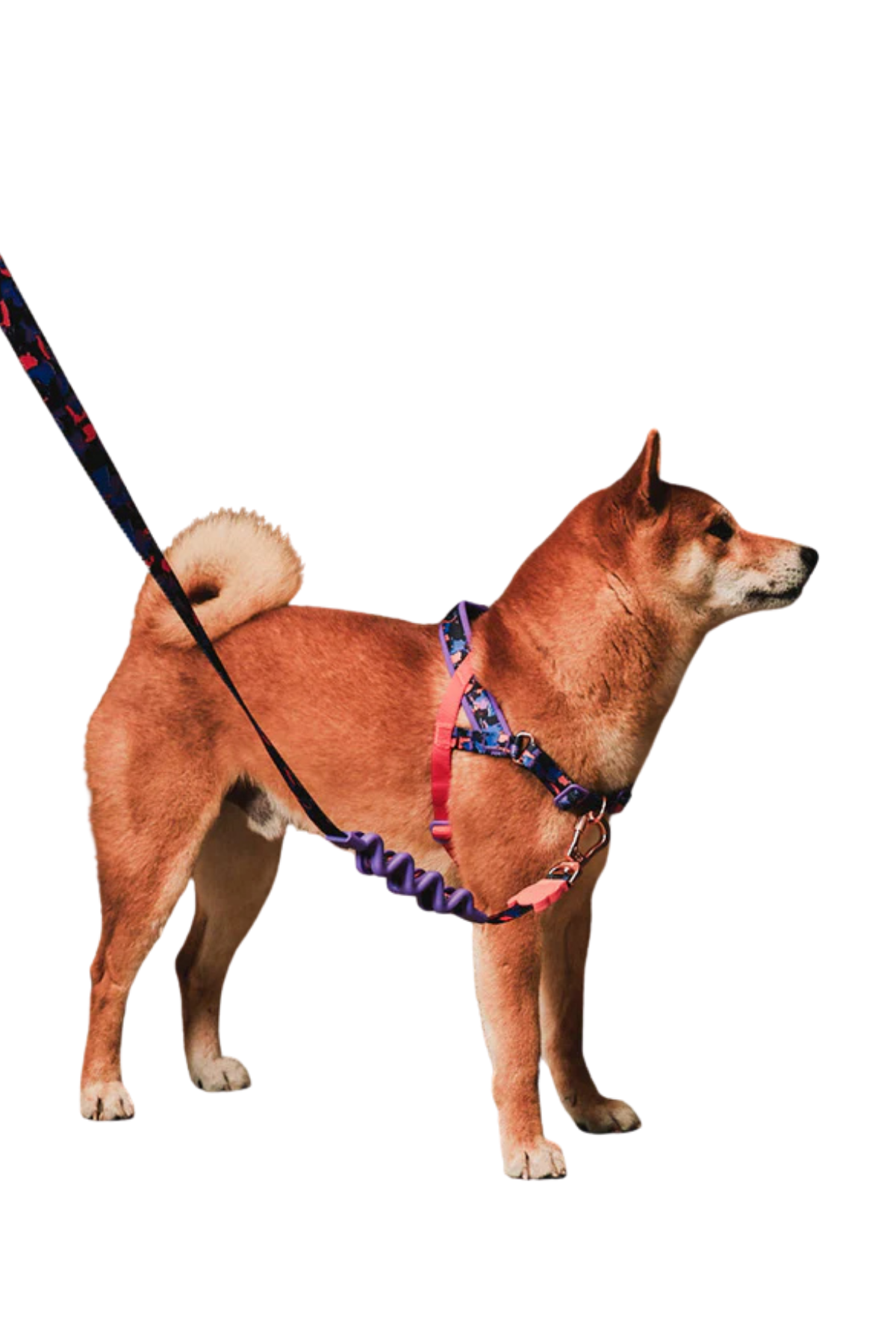 Zee.Dog Reebok x Zee.Dog Court Softer Walk Göğüs Tasması