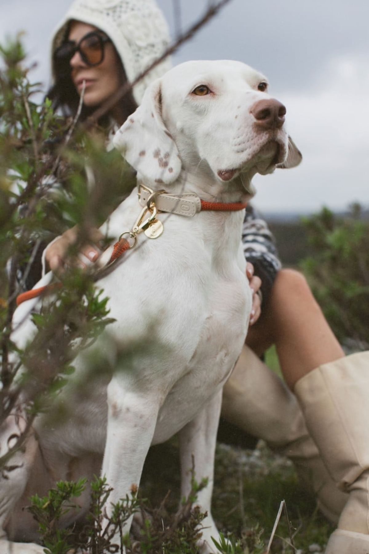 Zoe Pet Atelier Loop Köpek Boyun Tasması Pas Turuncusu