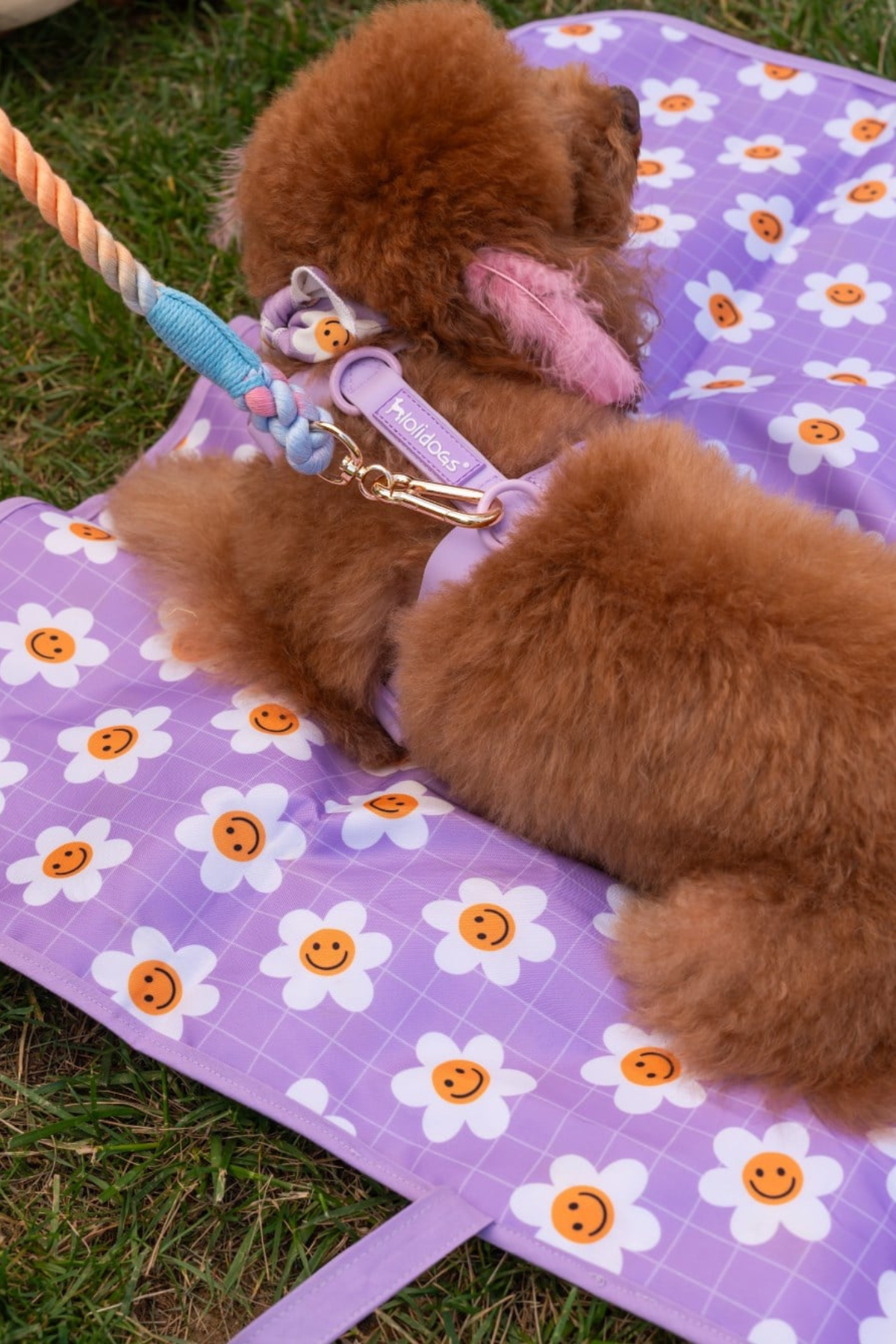 Lolidogs Köpek Travel Mat Daisy