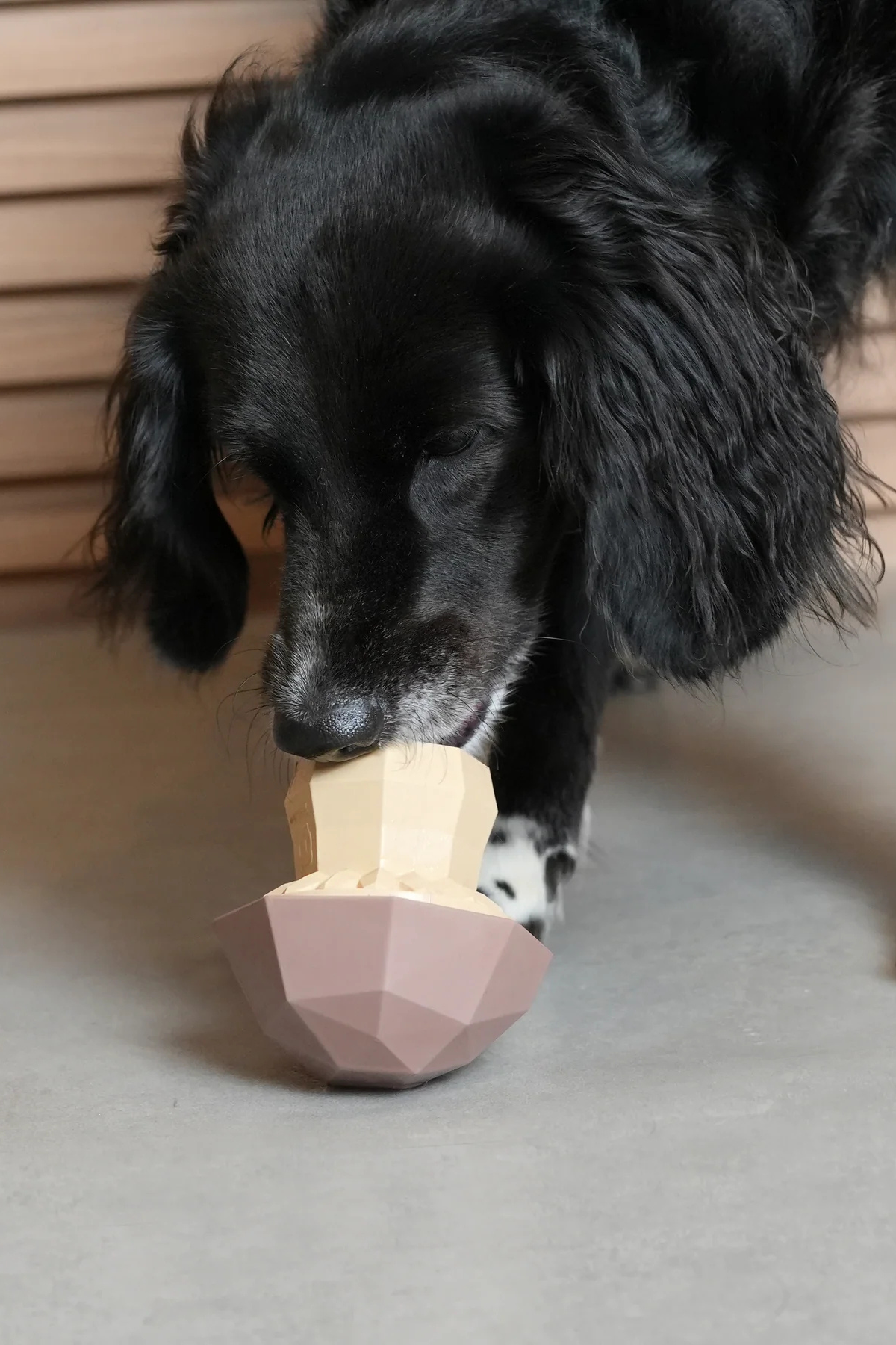 Zee.Dog | Super Veggıez Mushroom