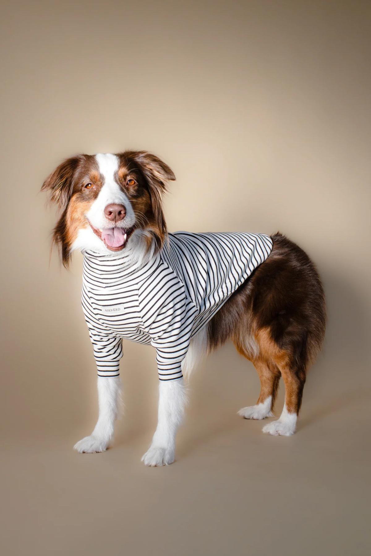 Asky&Erd Turtleneck Tshirt | Classic Stripe
