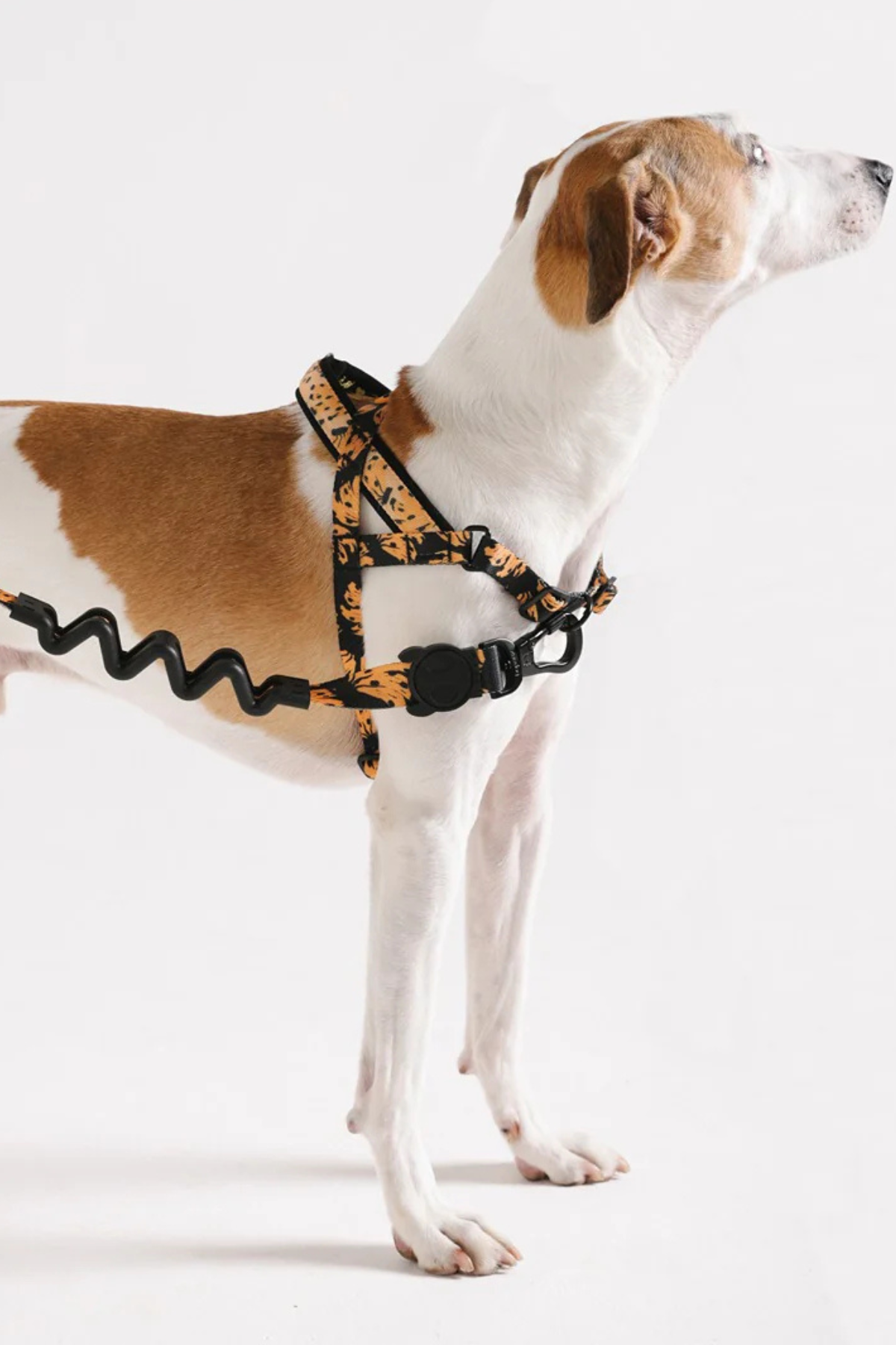 Zee.Dog Bossa Banana Softer Walk Köpek Göğüs Tasması - FARM Rio