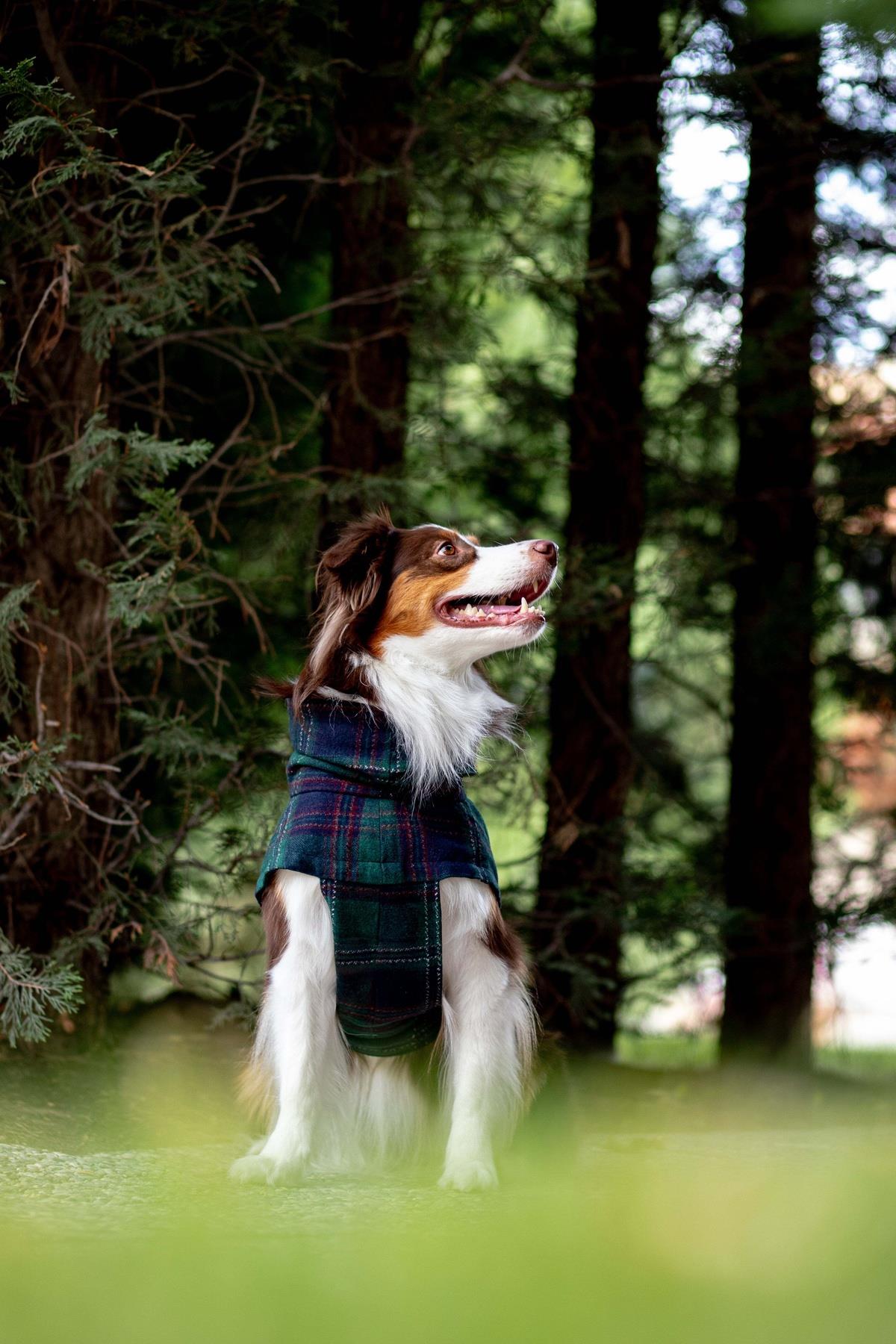 Chicago Vest | Green Plaid