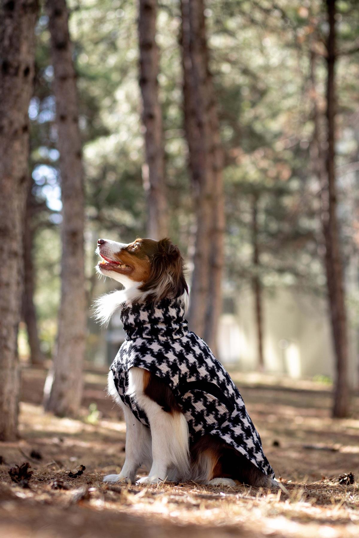 Chicago Vest | Houndstooth