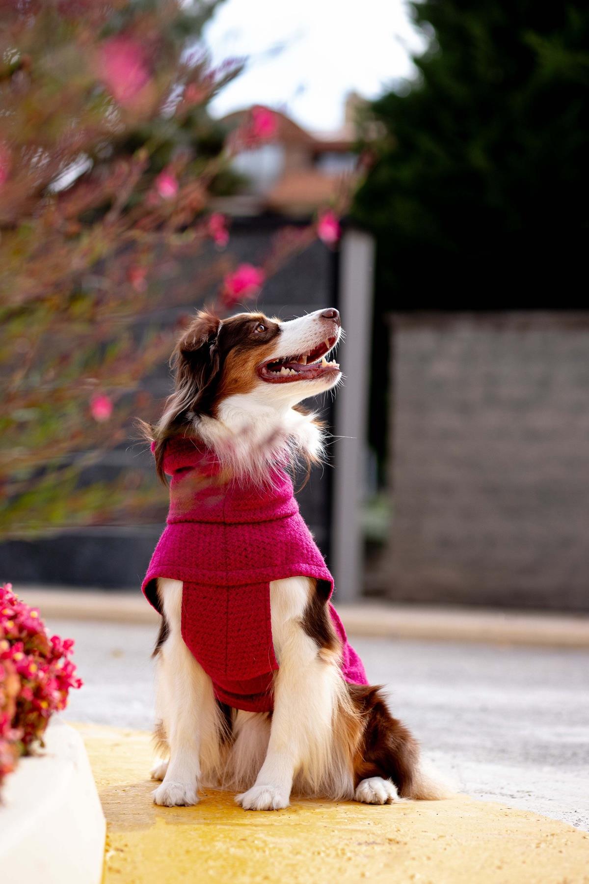 Chicago Vest | Magenta Burst