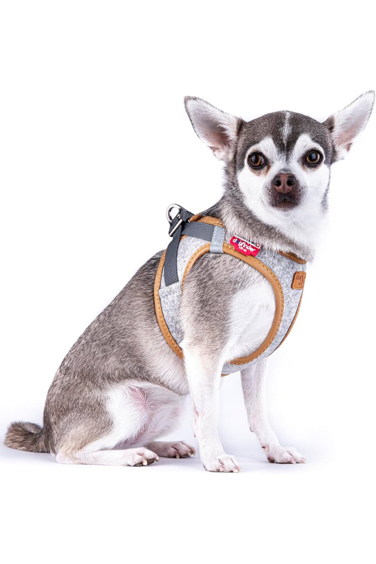 Curli Alpine Curli Clasp Vest Harness Light Gray