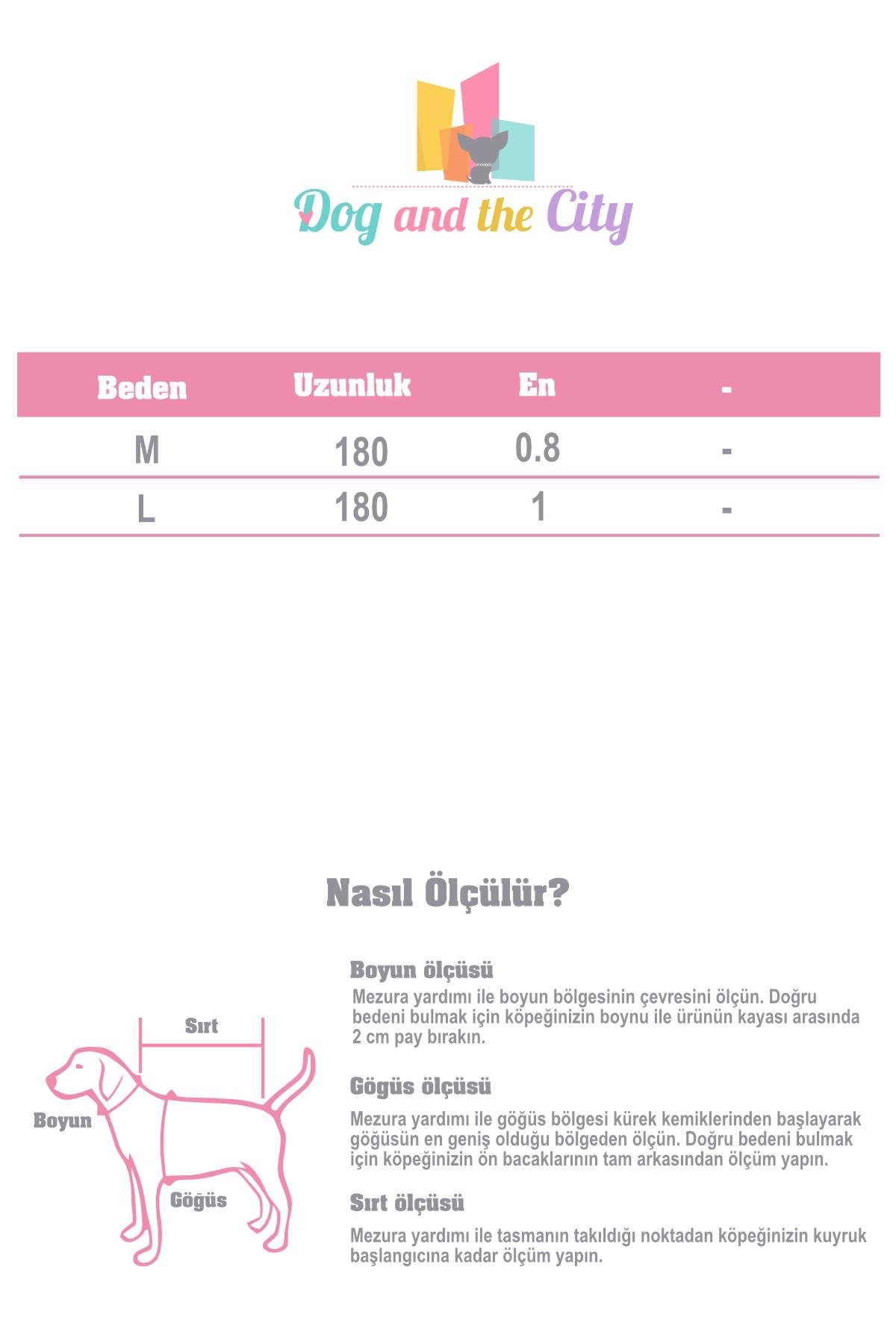 Curli Stretch Comfort Leash Köpek Gezdirme Kayışı Mavi