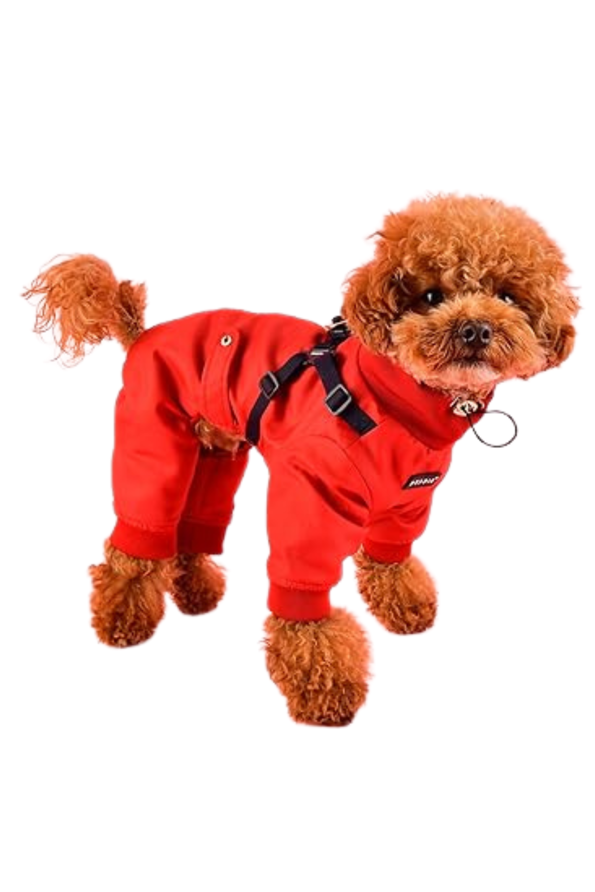 Puppia Garnet Polar Tulum Göğüs Tasmalı Kışlık Köpek Tulumu Kırmızı