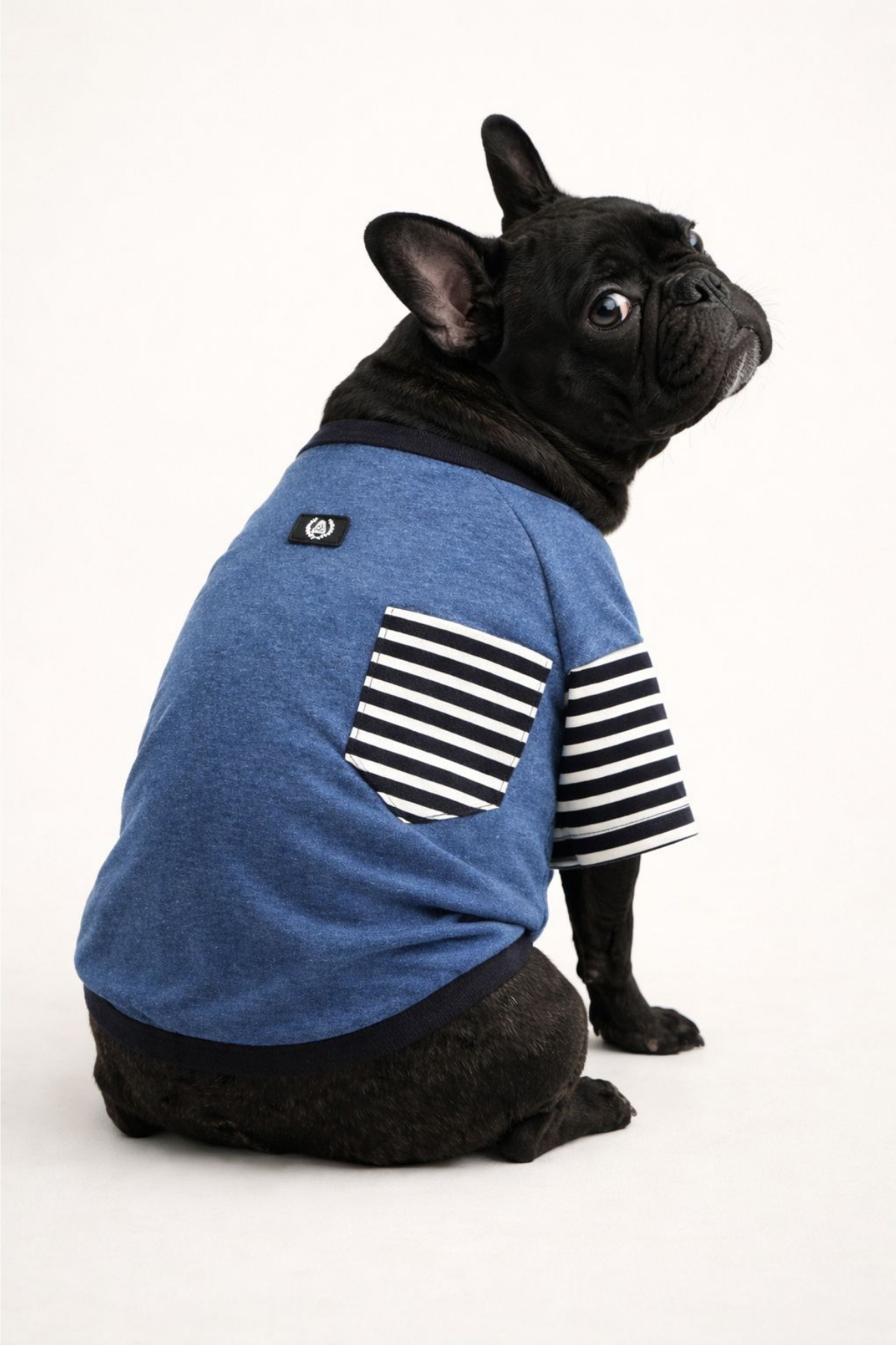 Alphadog Kolları Çizgili Köpek T-shirt Mavi