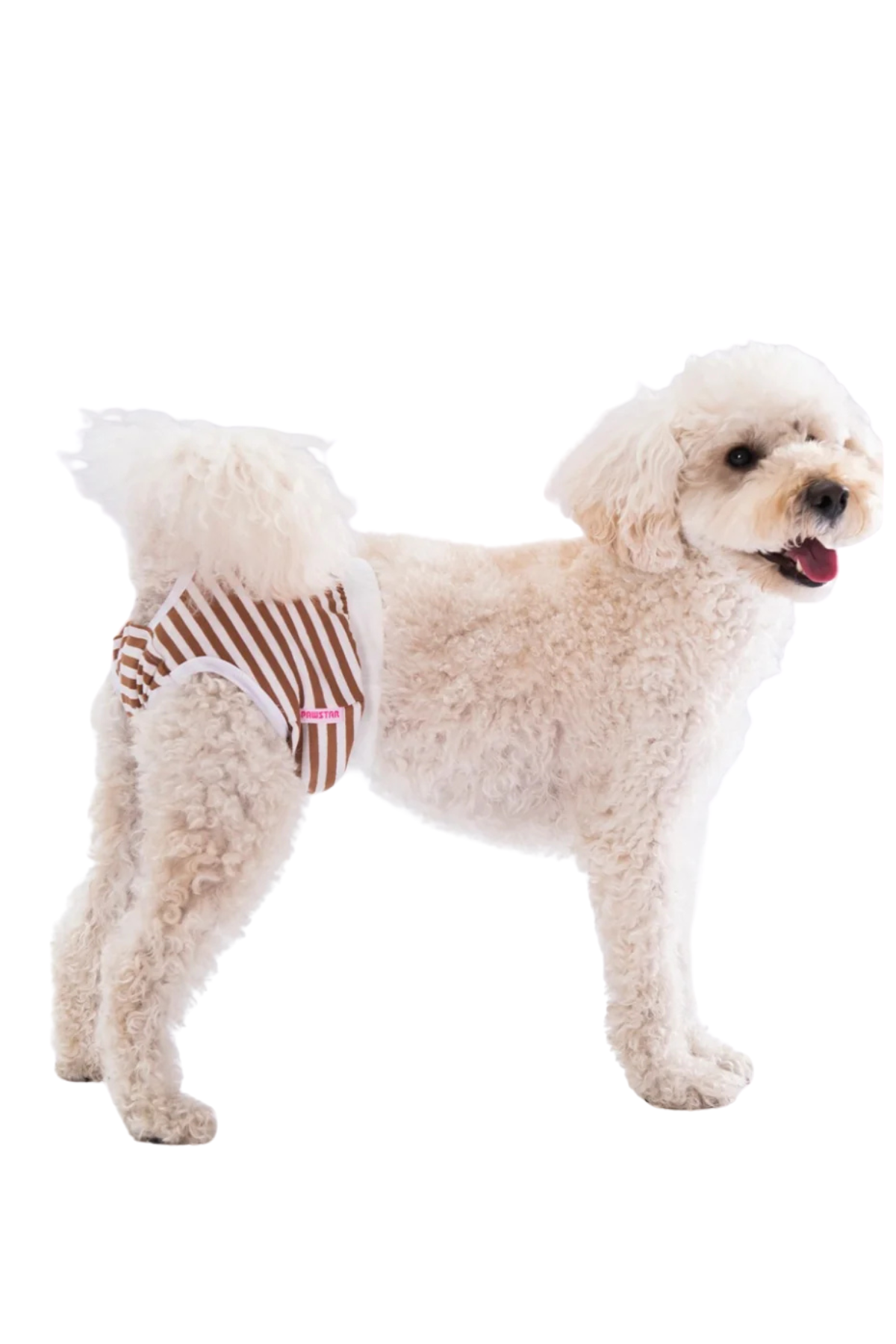 PawStar Regl Külodu Çizgili Kahverengi 