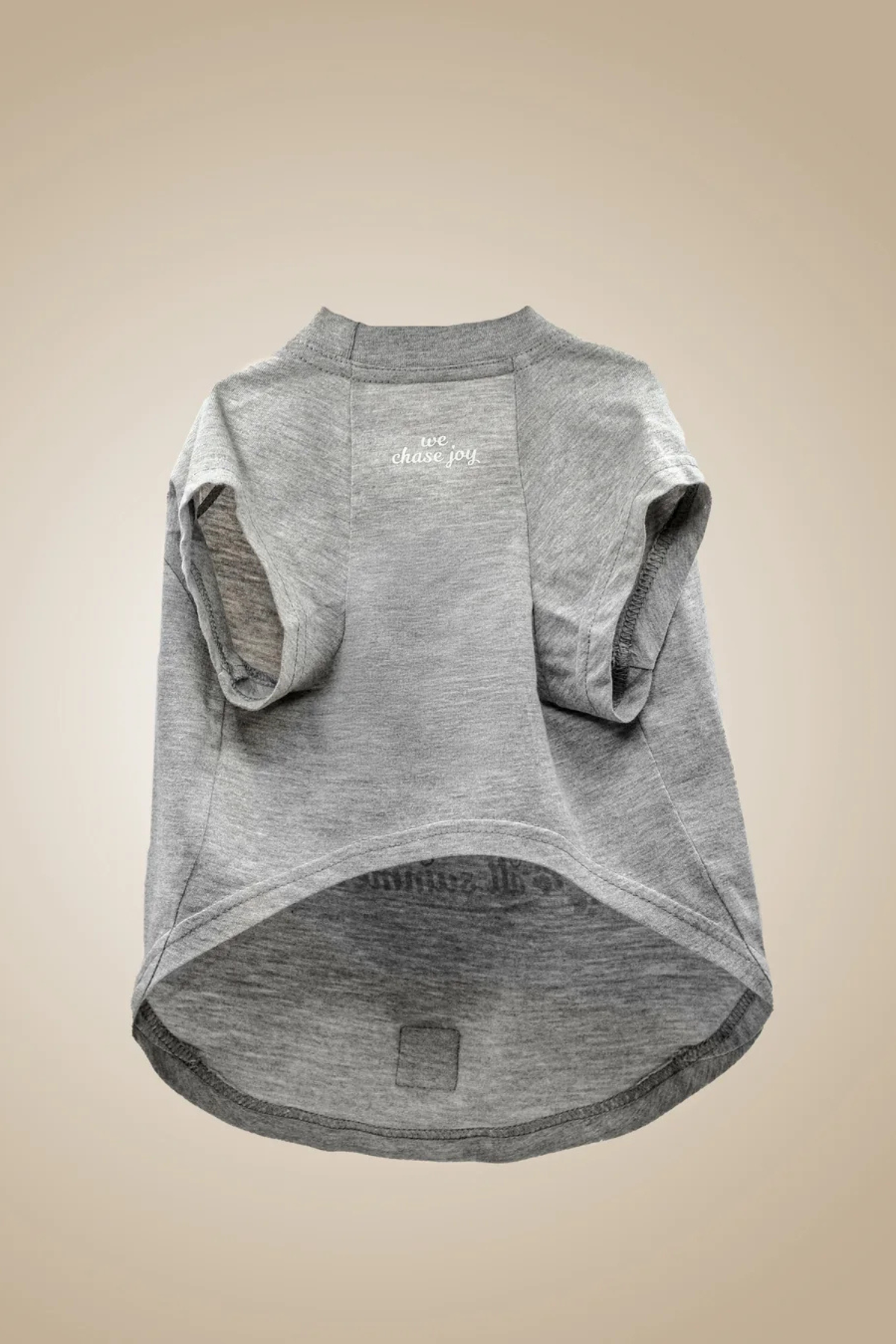 Asky&Erd Chasing Joy | Urban Grey Köpek Tişört