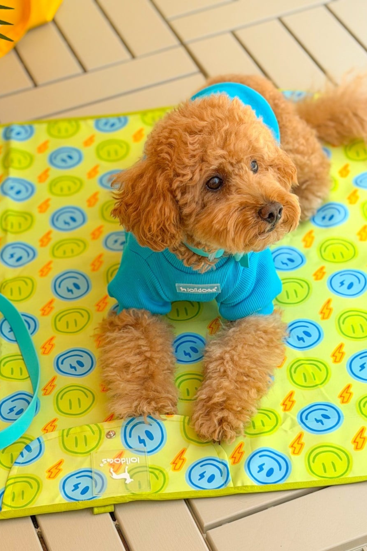 Lolidogs Köpek Travel Mat | Smiley
