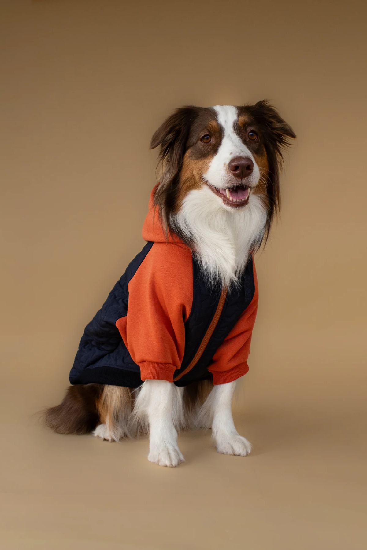 Asky And Erd Star Varsity Hoodie Terracotta