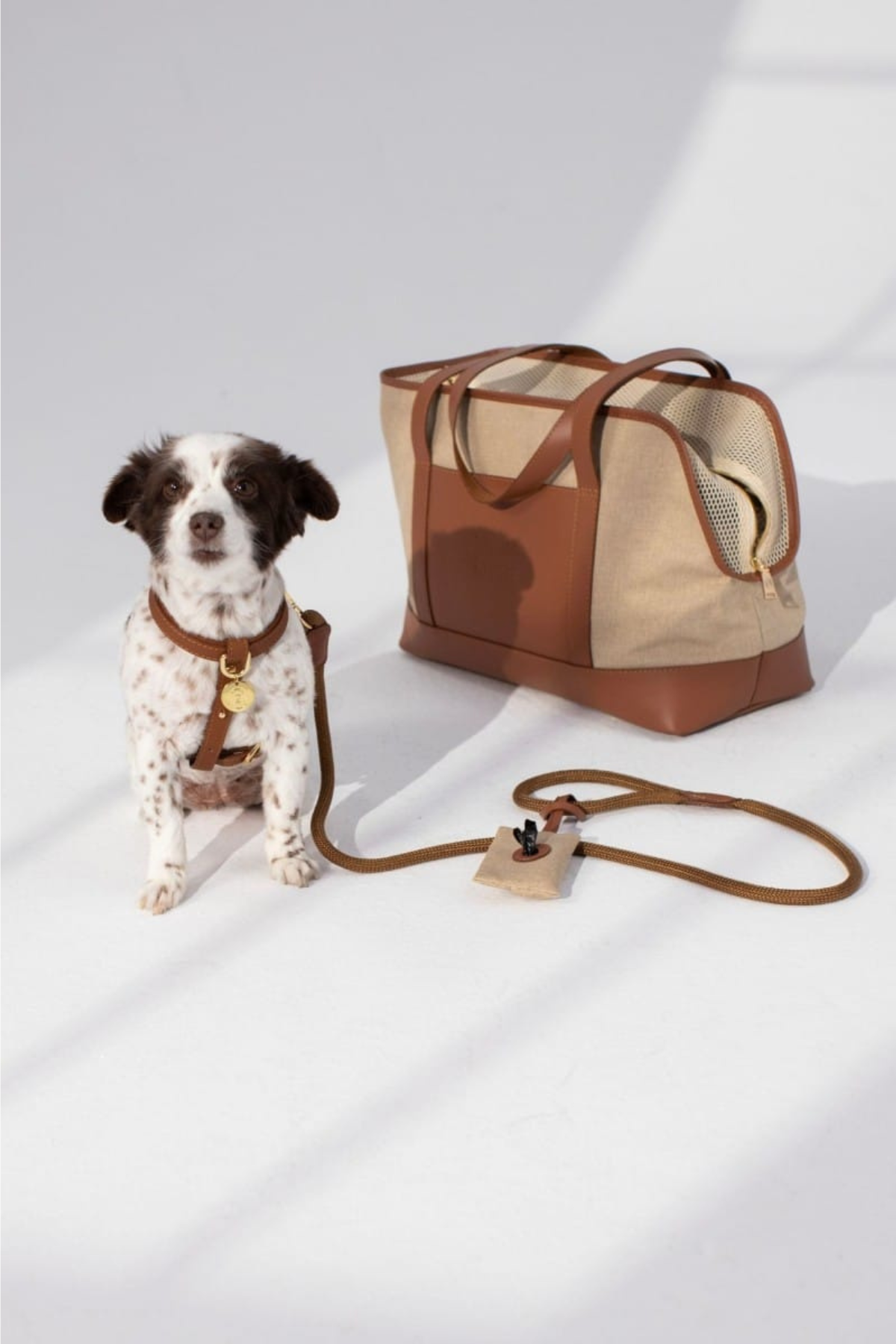Cıty Carrier In Brown