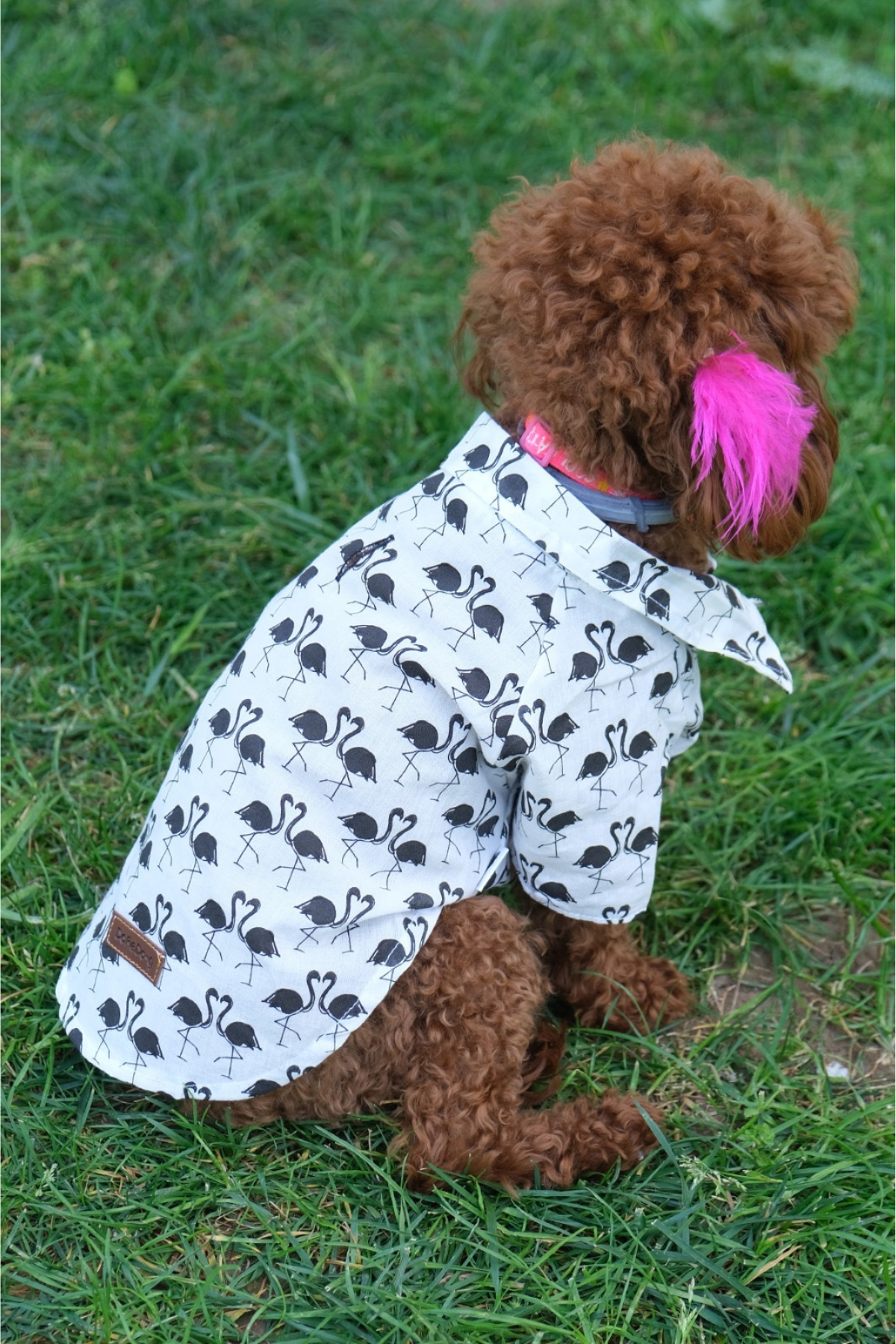 Doredog Flamingolu Gömlek