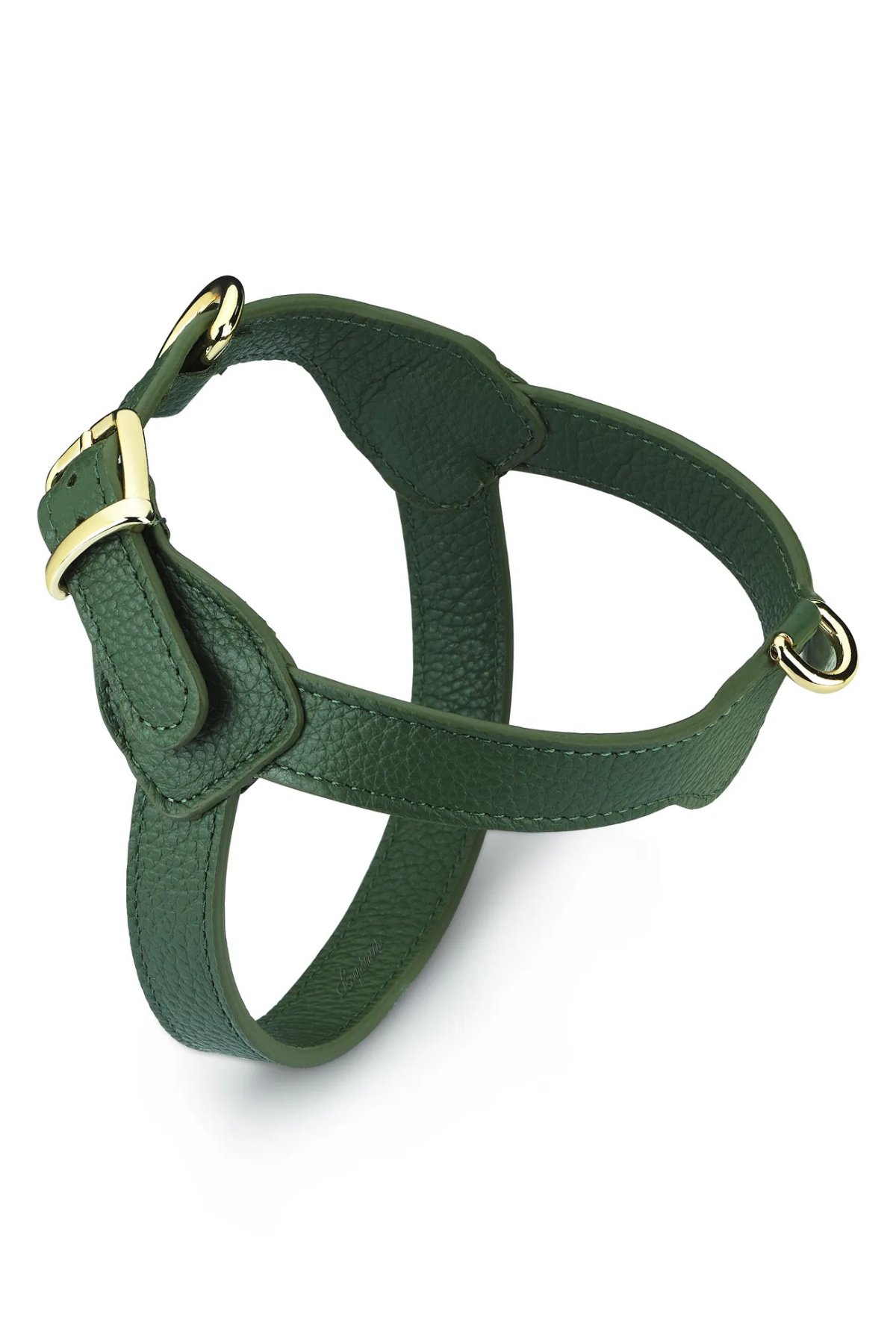 Lupinus Atelier Royale Viridis Köpek Göğüs Tasması