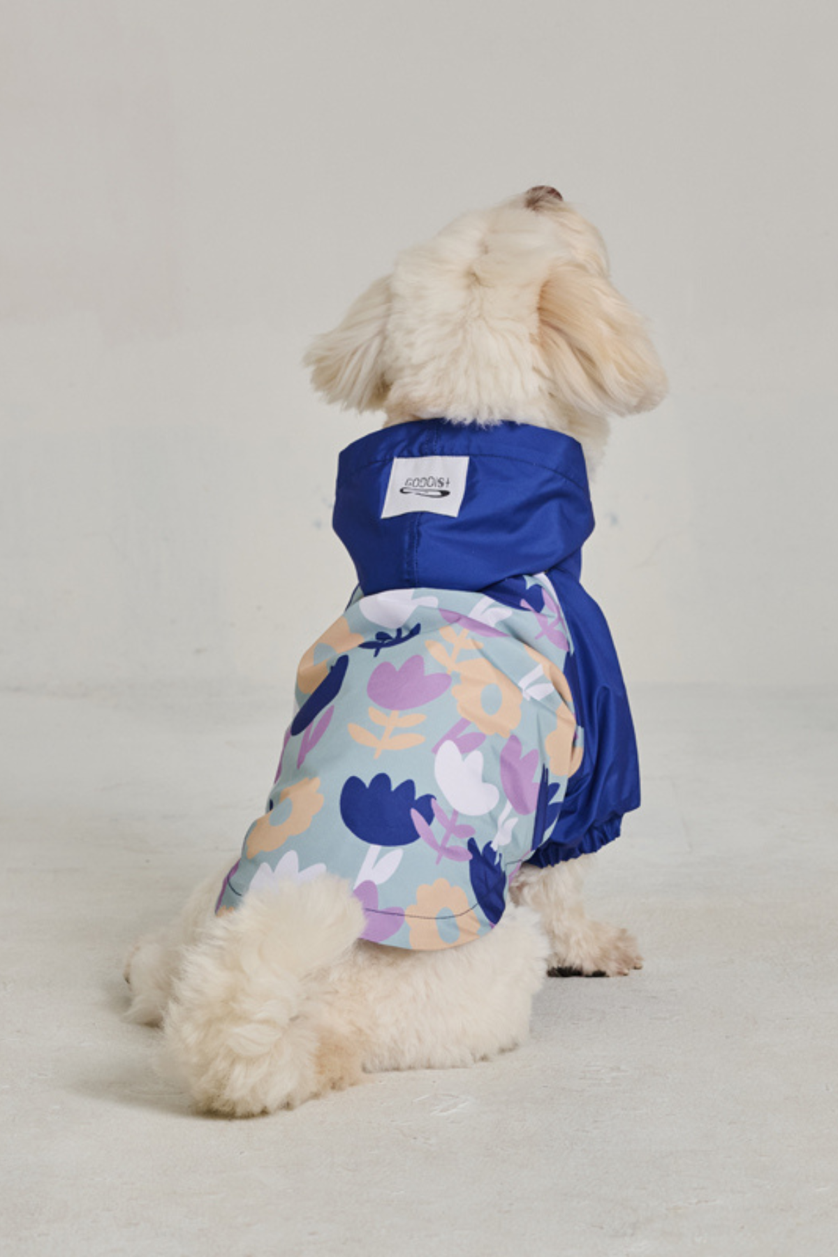 Godoist Köpek Yağmurluk - Raincoat Series -Flafy