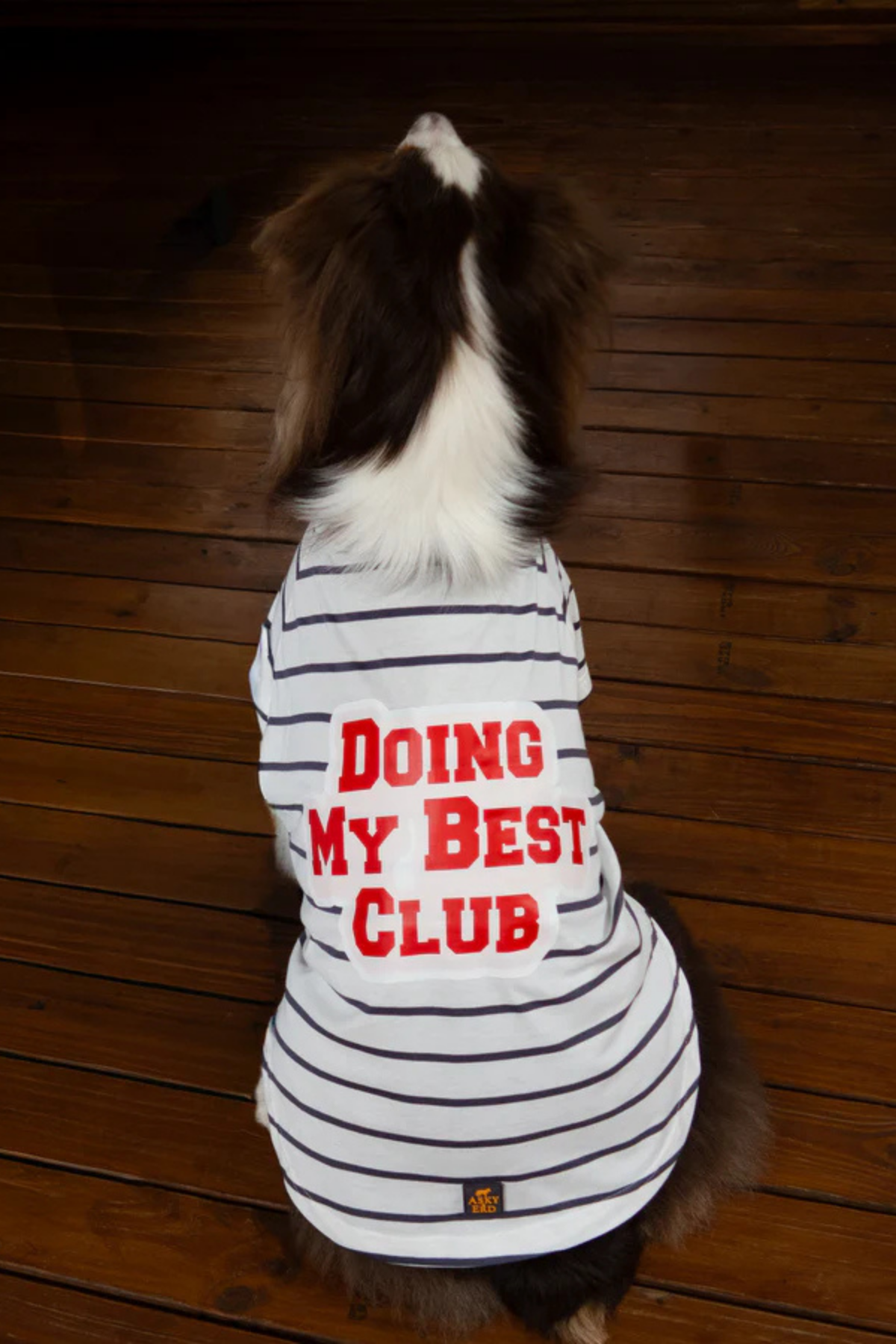 Asky&Erd Doing My Best Club Stripe T-Shirt | Urban Grey