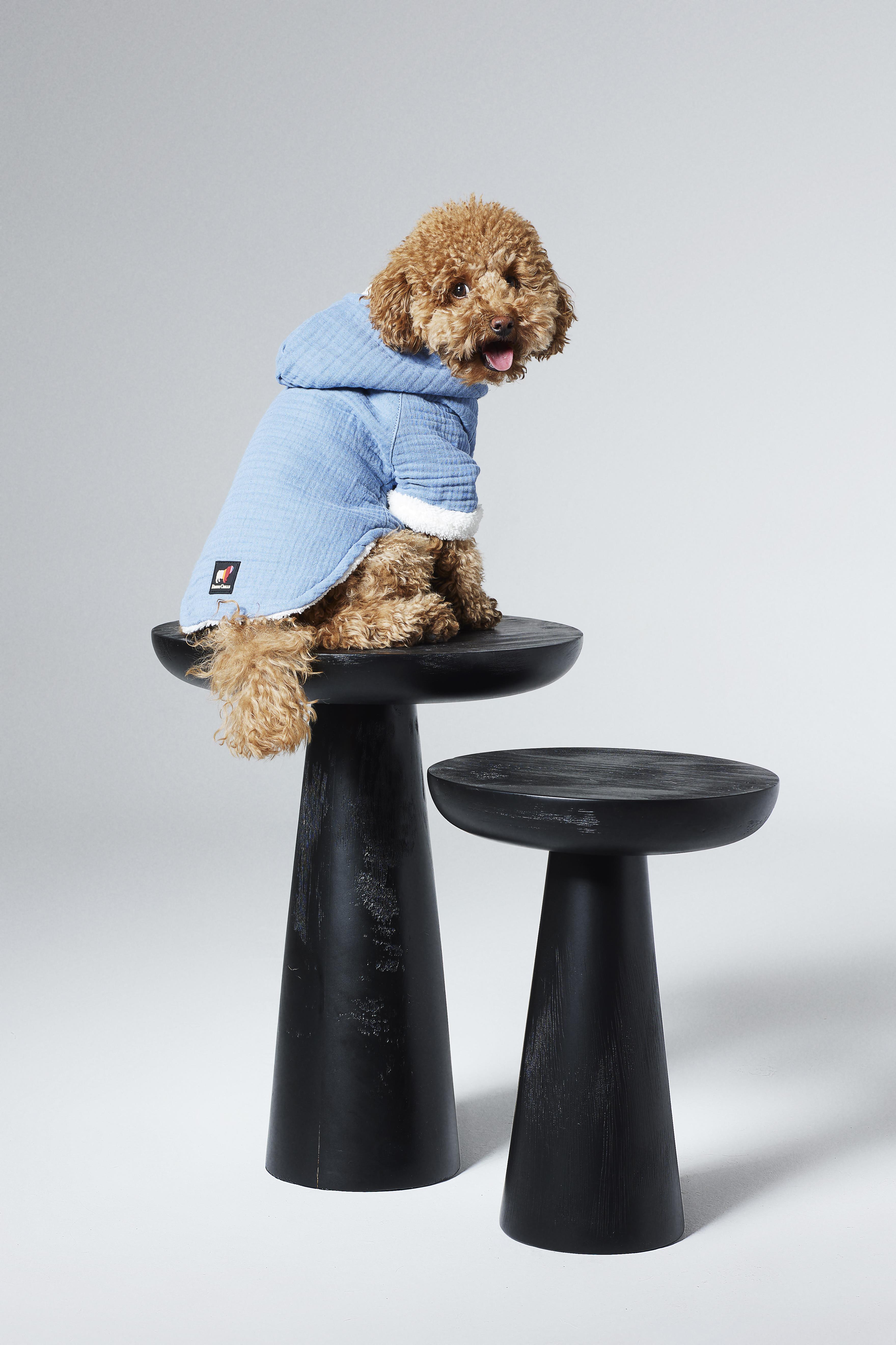 Dante Chills Vanilla Sky Köpek Hoodie Mavi