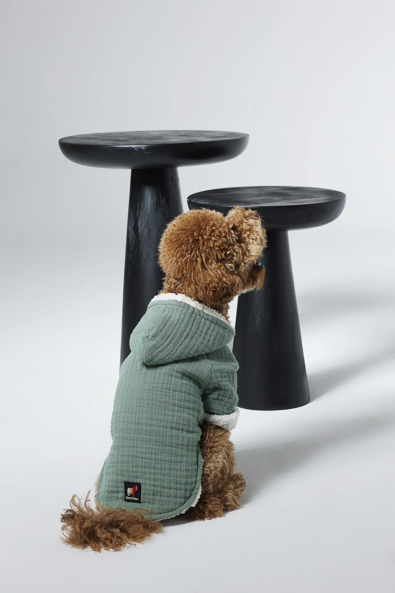 Dante Chills Vanilla Sky Köpek Hoodie Yeşil