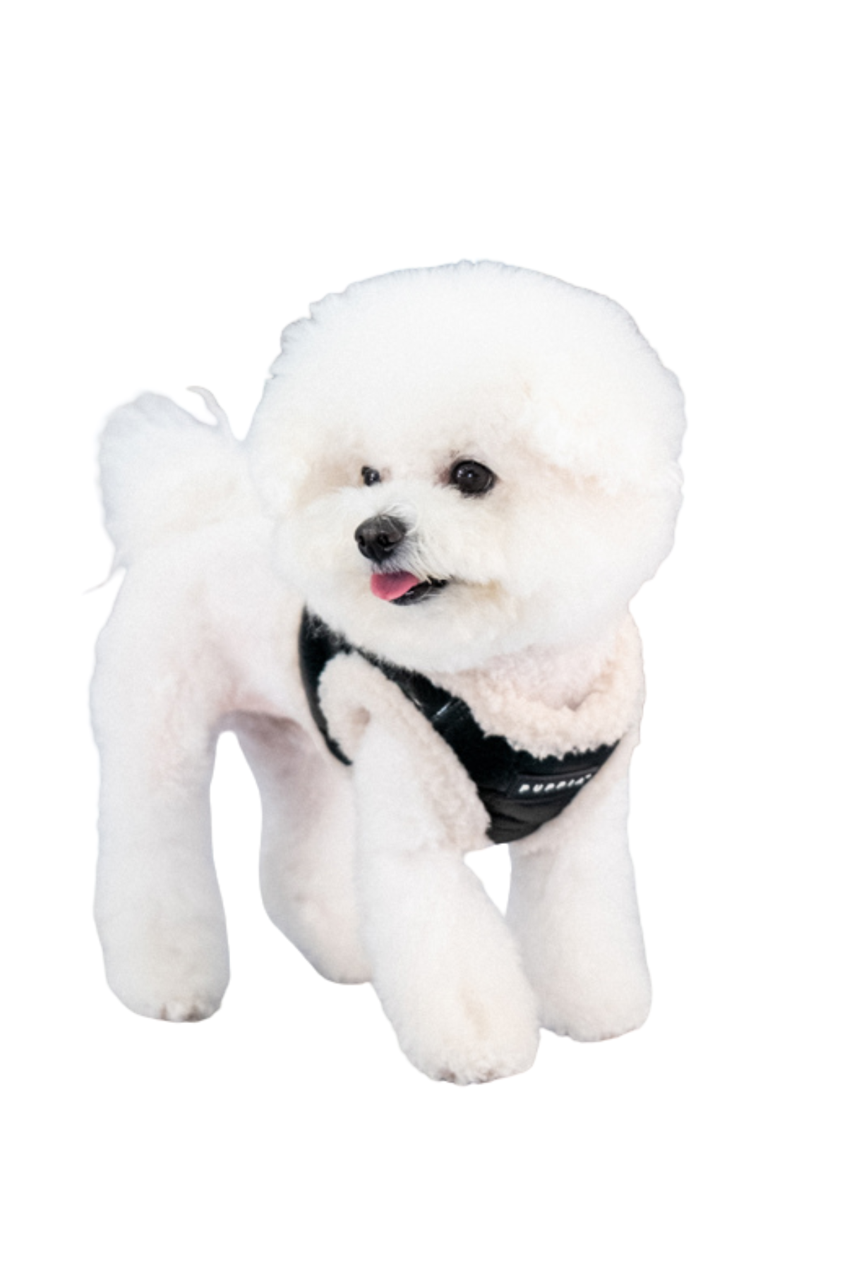 Puppia Winterstride Harness B Köpek Göğüs Tasması - Siyah