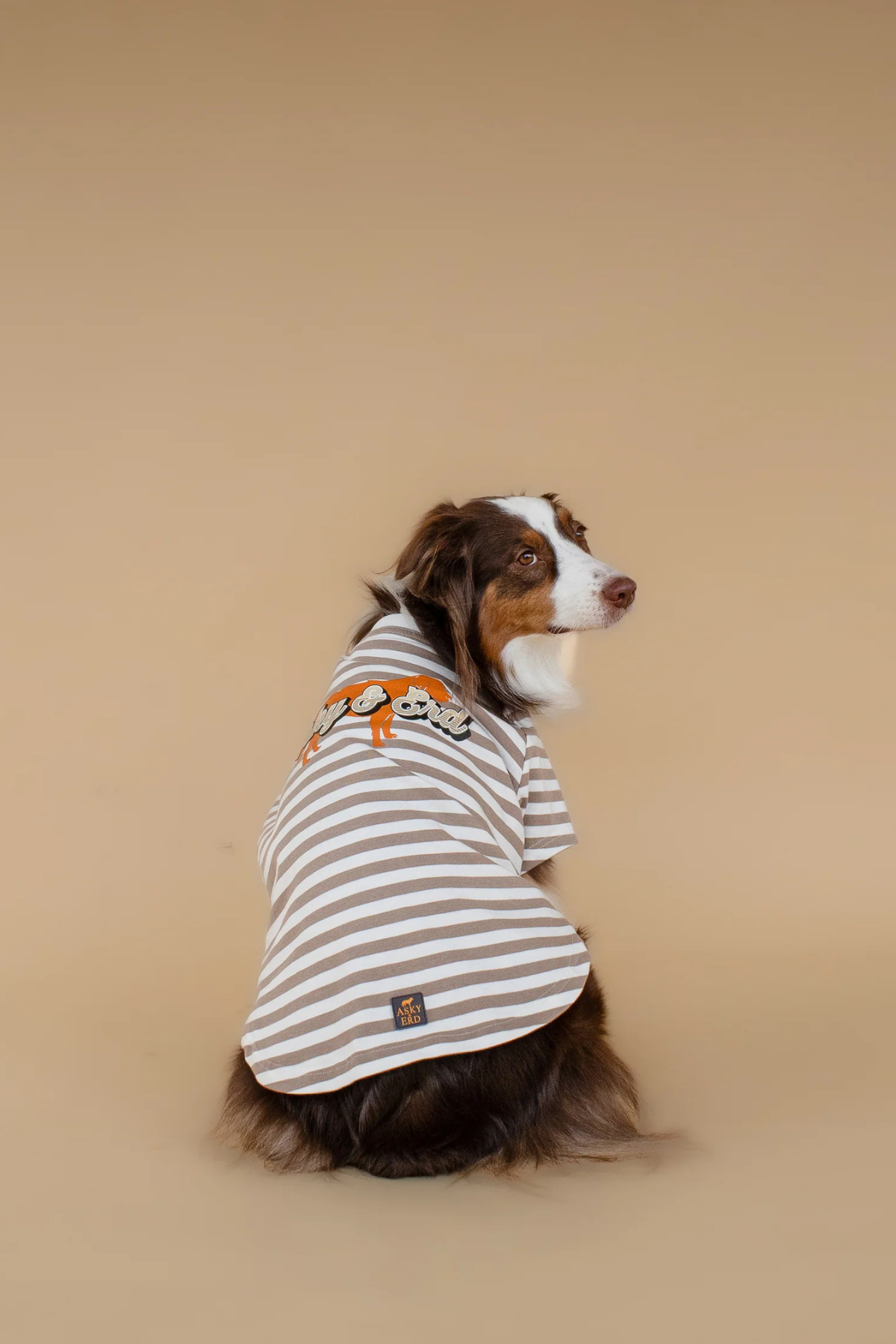 Asky&Erd Heritage Stripe Tshirt Oat Latte