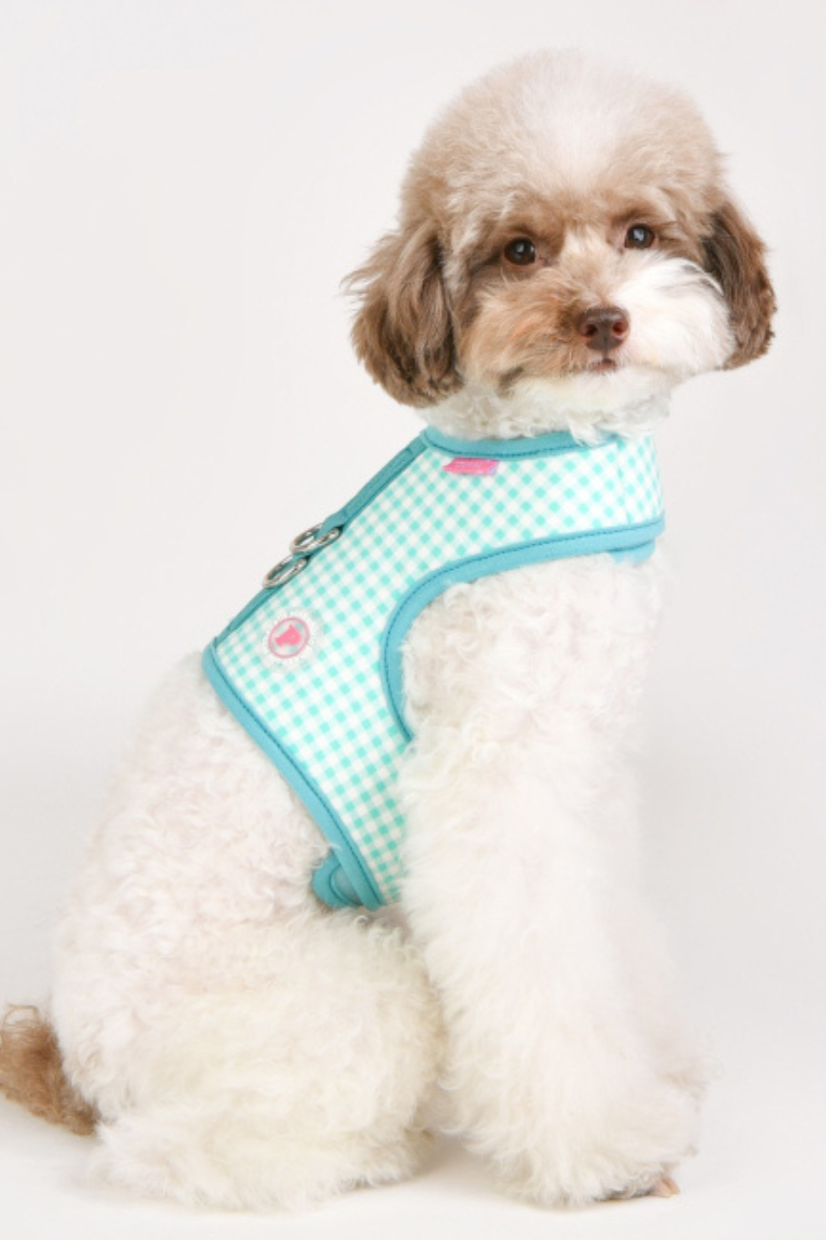 Pinkaholic New York Alaia Pinka Harness Göğüs Tasması Mavi